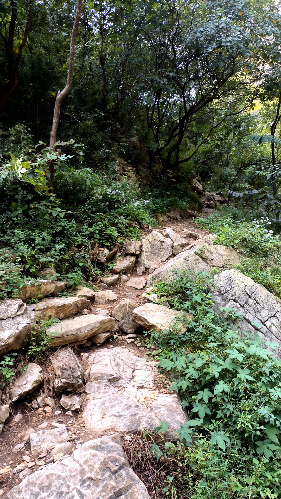 佛照山景区旅行图片 3