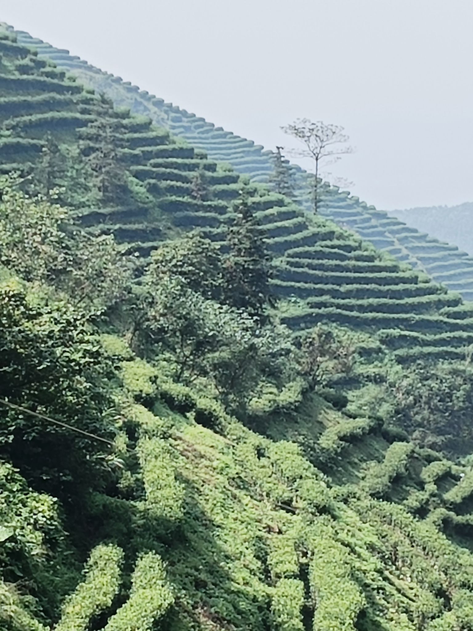 龙门景区