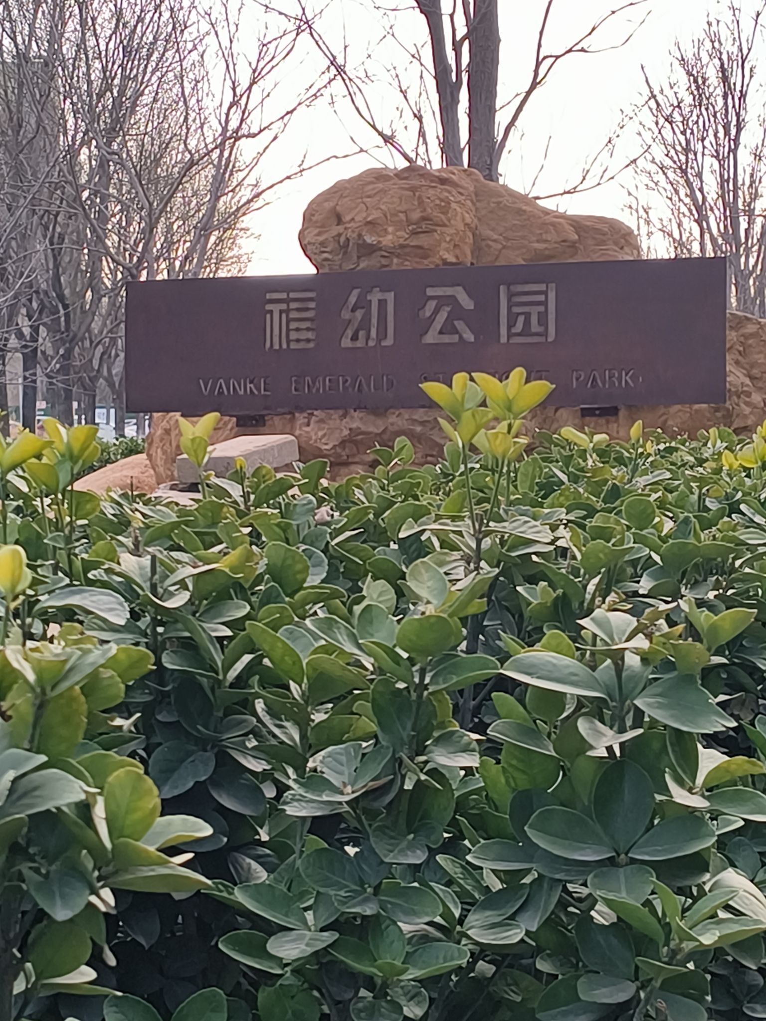 翡翠乐园旅行图片 1