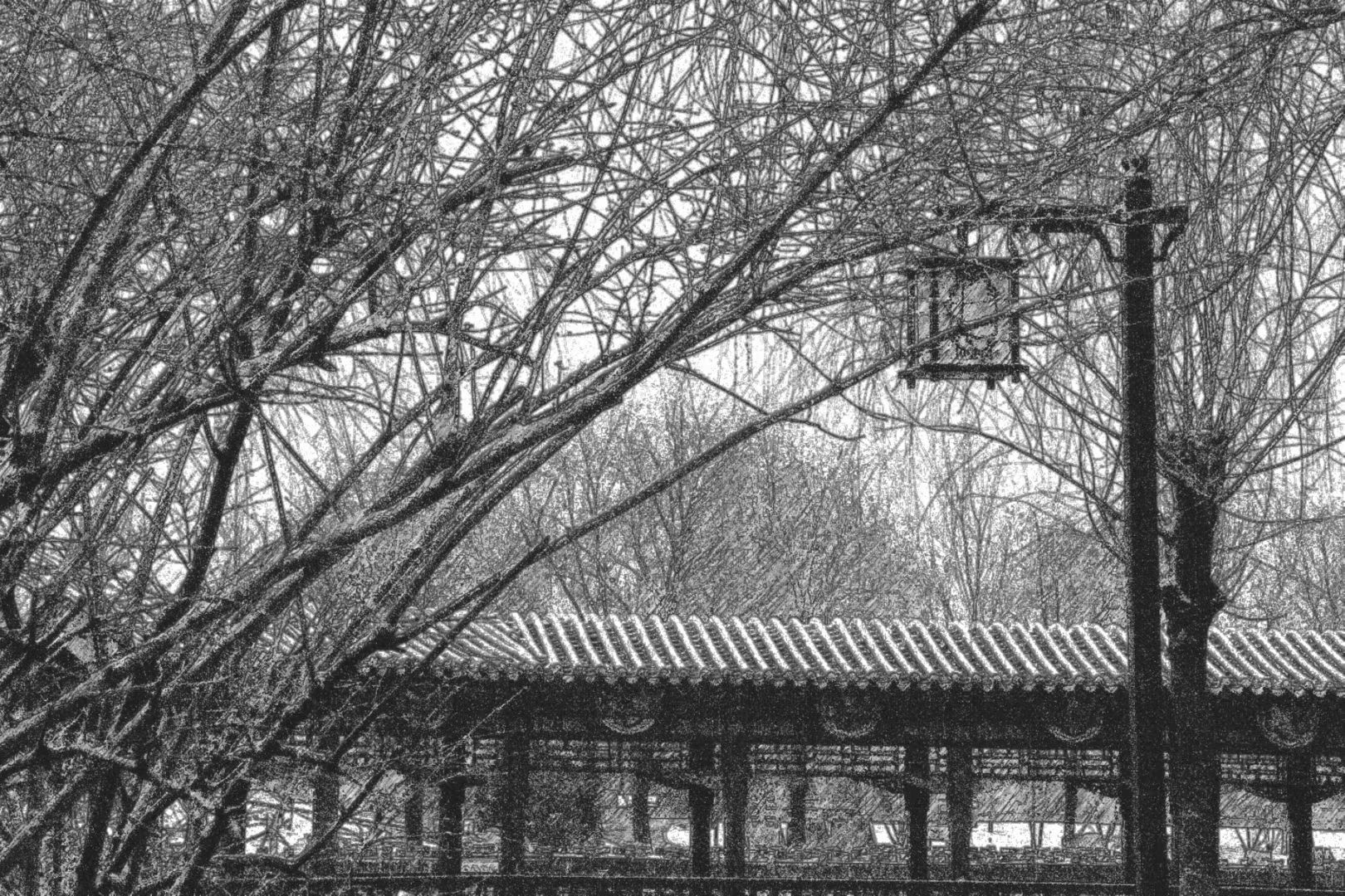 锦园公园旅行图片 3