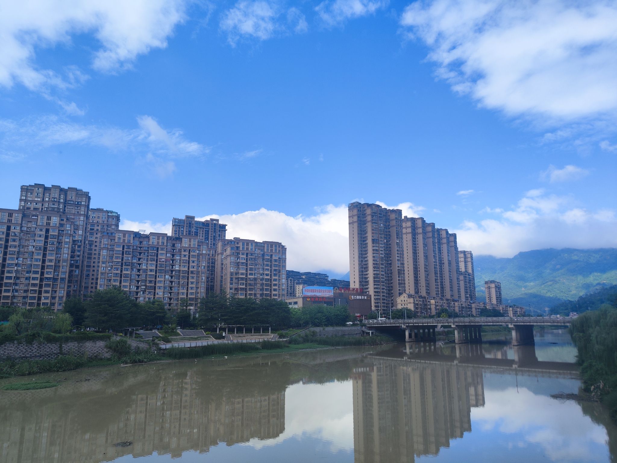 渡头湿地公园旅行图片 3