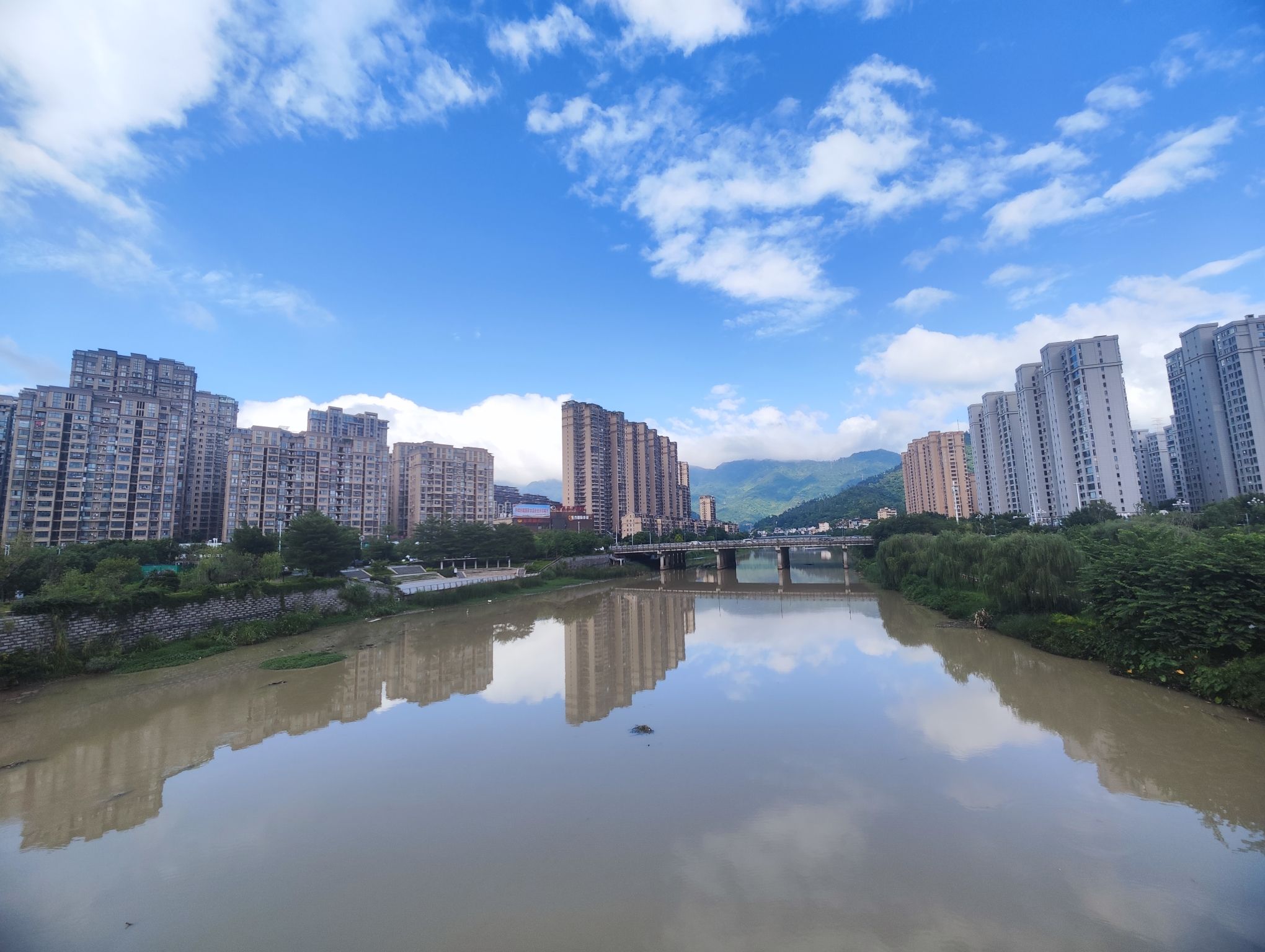 渡头湿地公园旅行图片 2