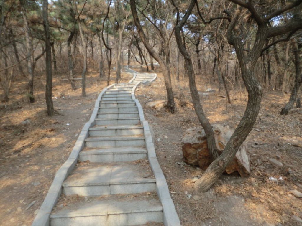 林茂健身公园旅行图片 3