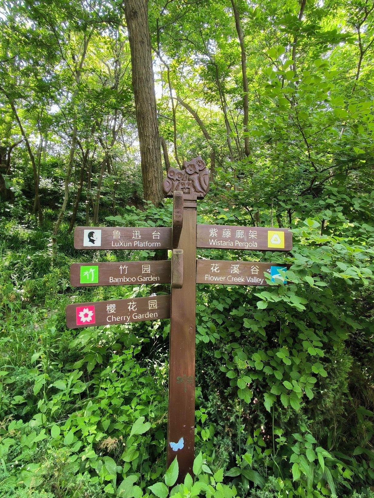 大连植物园旅行图片 2