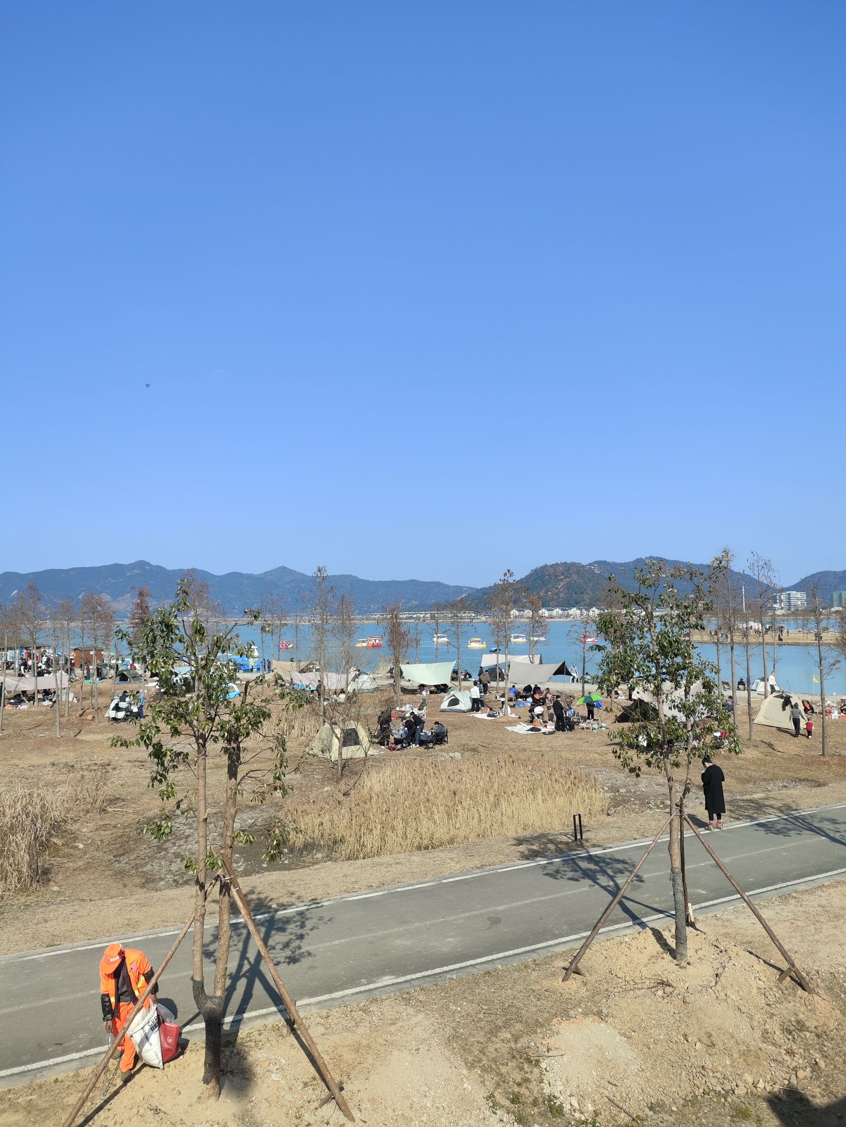 飞龙湖花海旅行图片 1