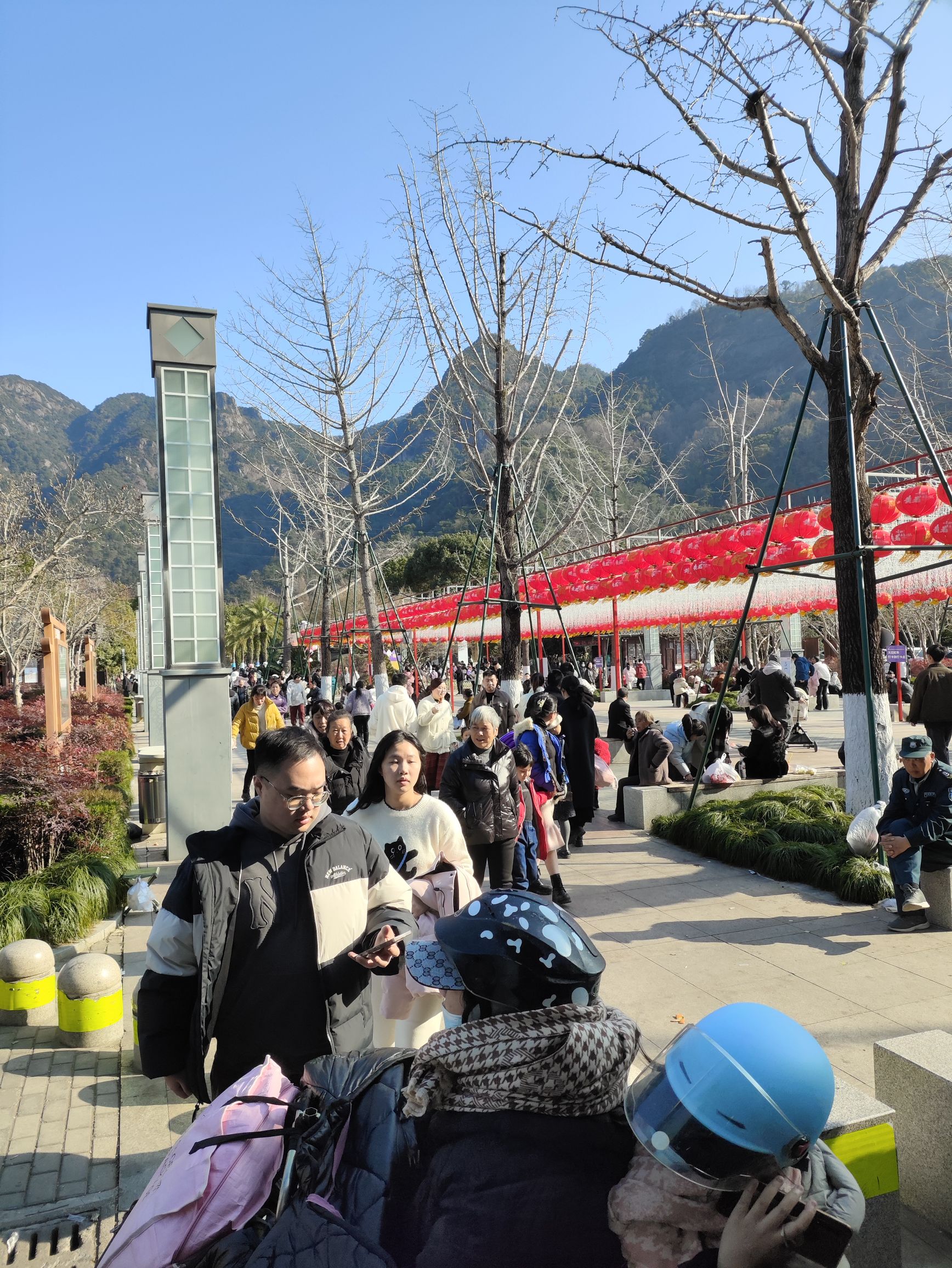 飞龙湖花海旅行图片 2