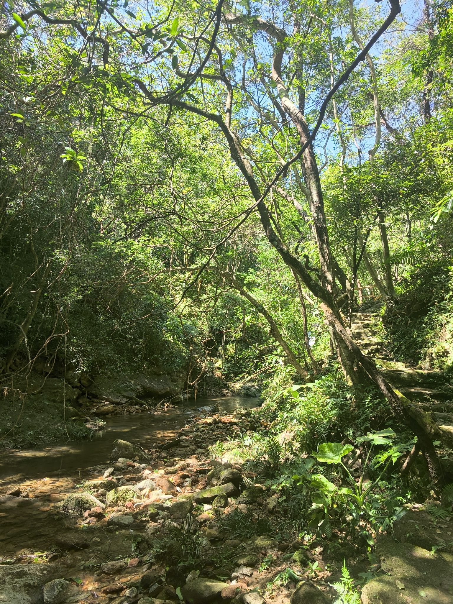 广东天马山旅游景区旅行图片 3