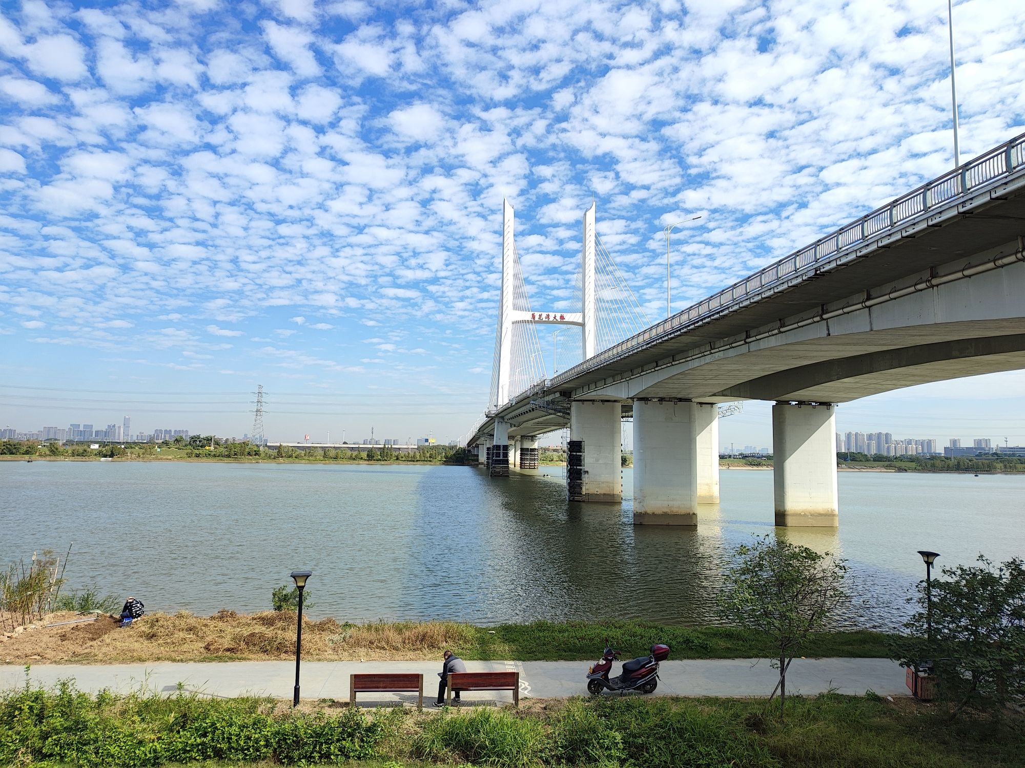 琴湖公园旅行图片 3
