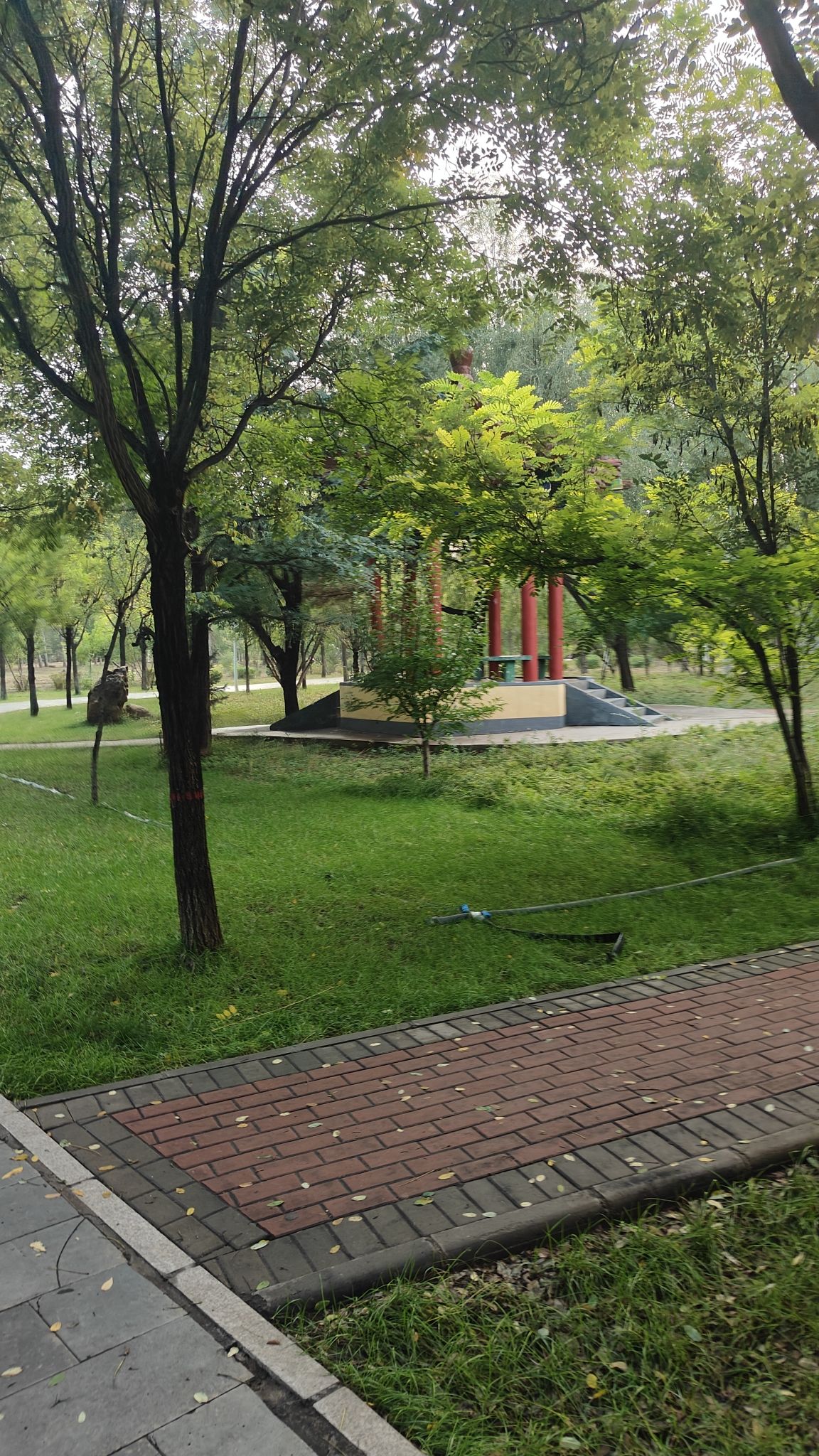 白塔公园旅行图片 2