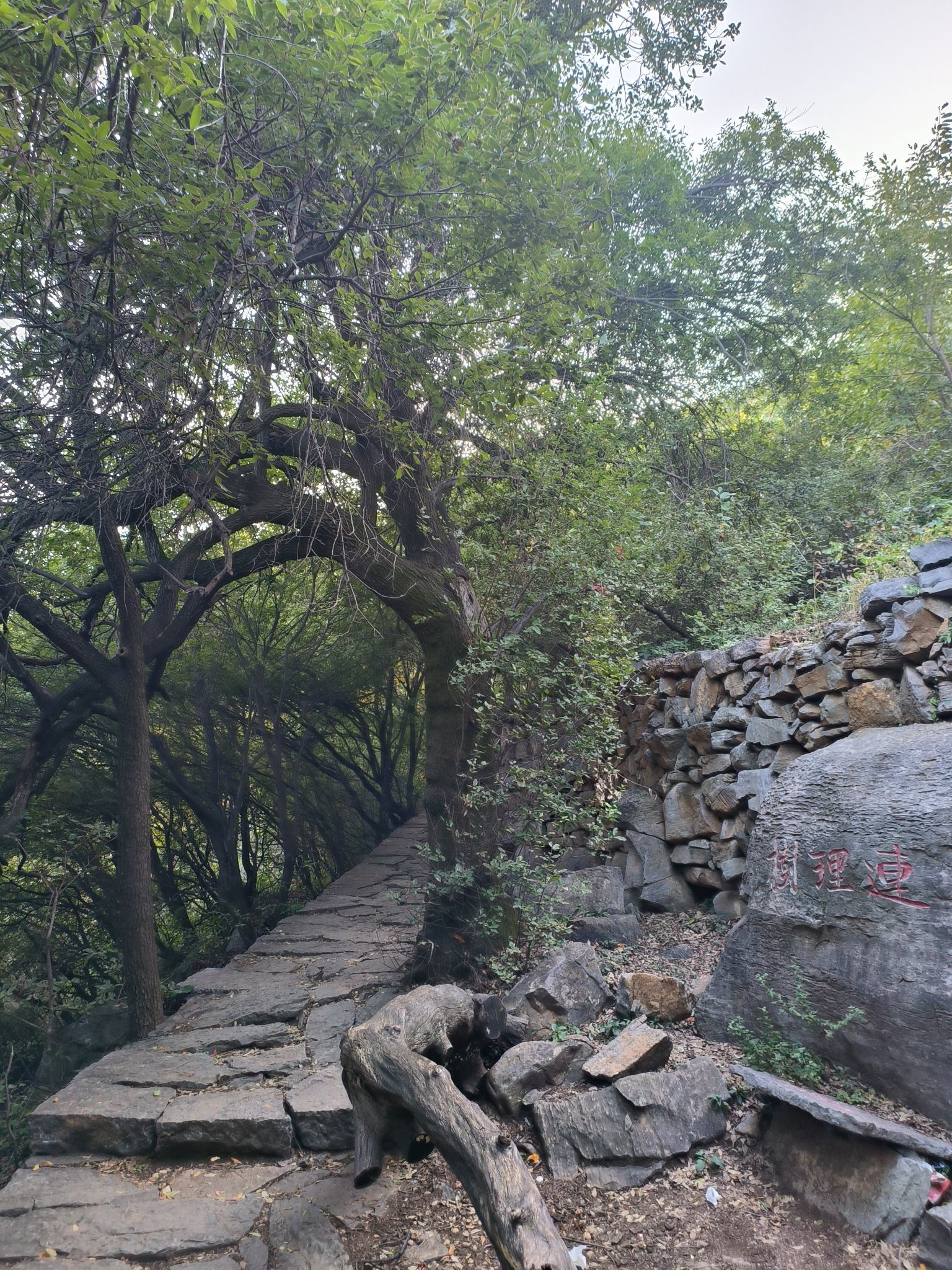 蝴蝶谷旅行图片 2