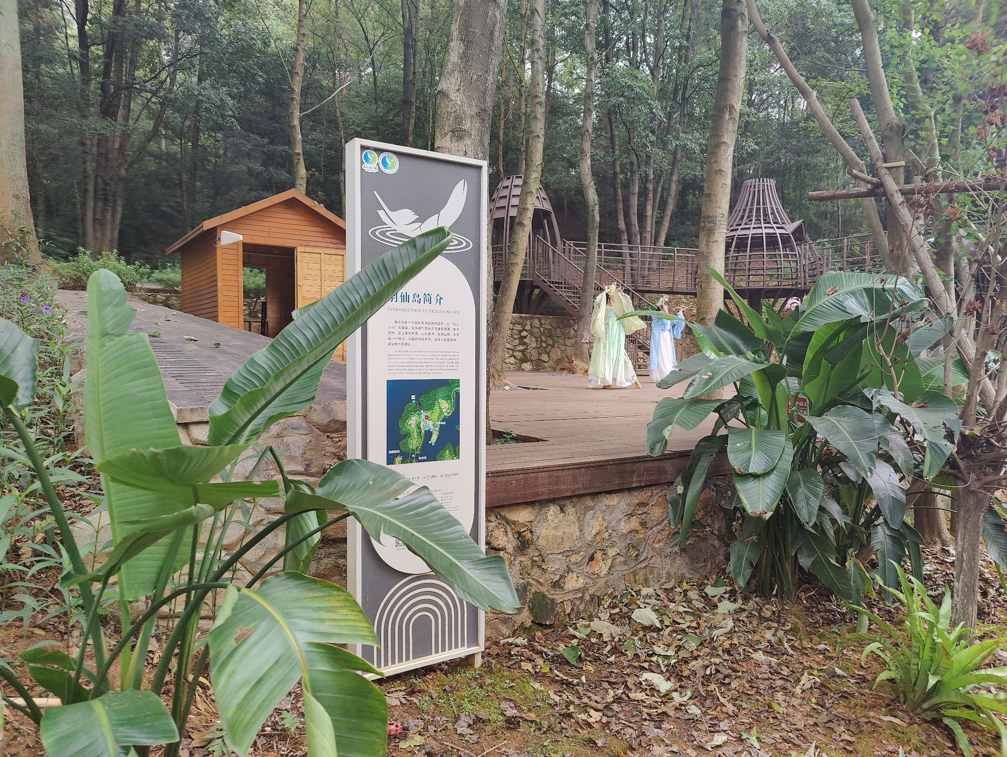 羽仙岛旅行图片 3