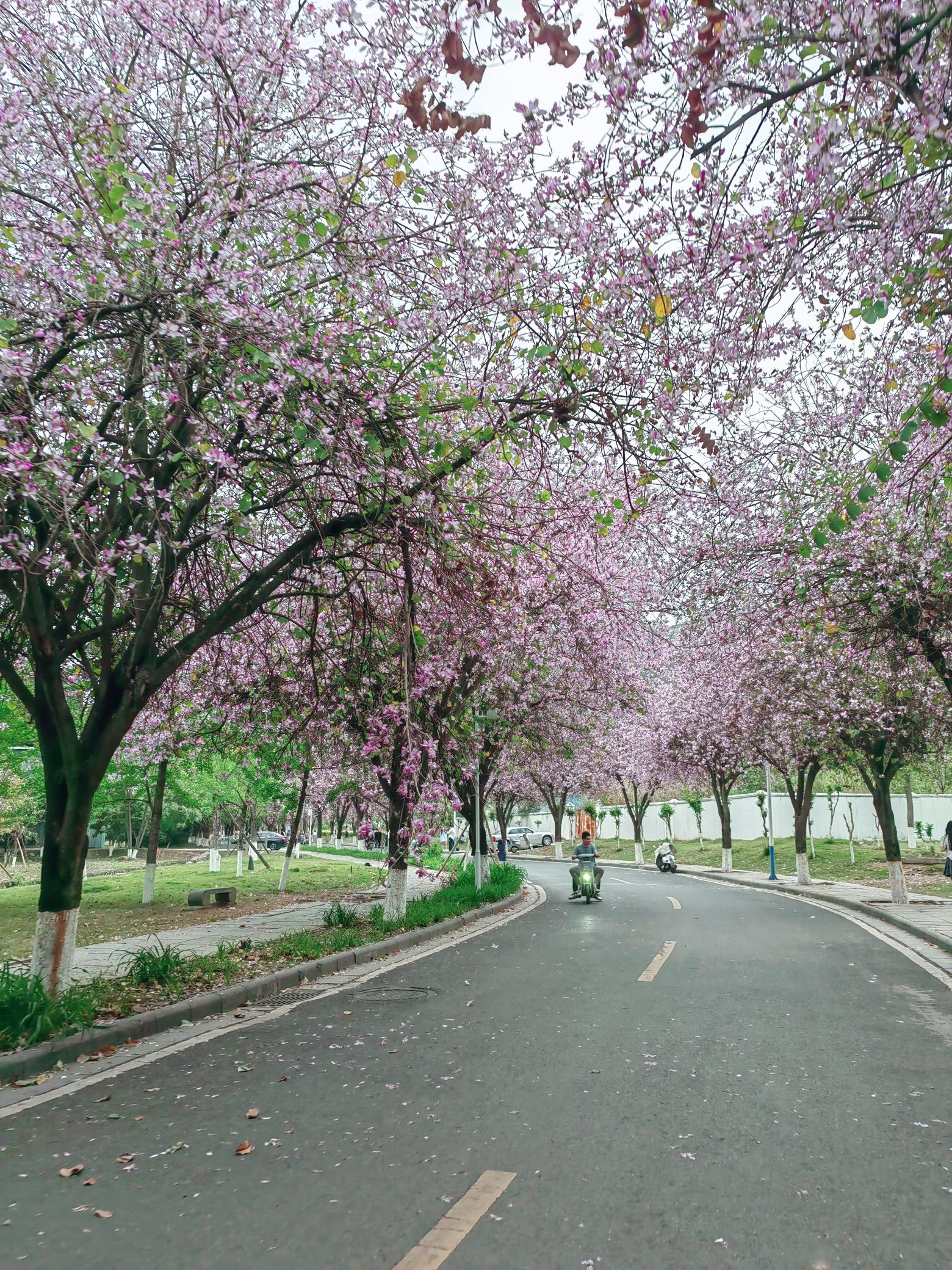 桂林电子科技大学花江校区花江慧谷