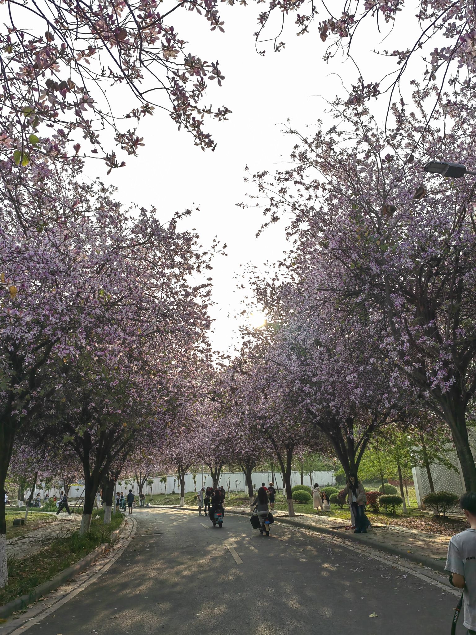 桂林电子科技大学花江校区花江慧谷