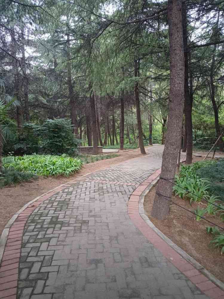 郑新公园旅行图片 3