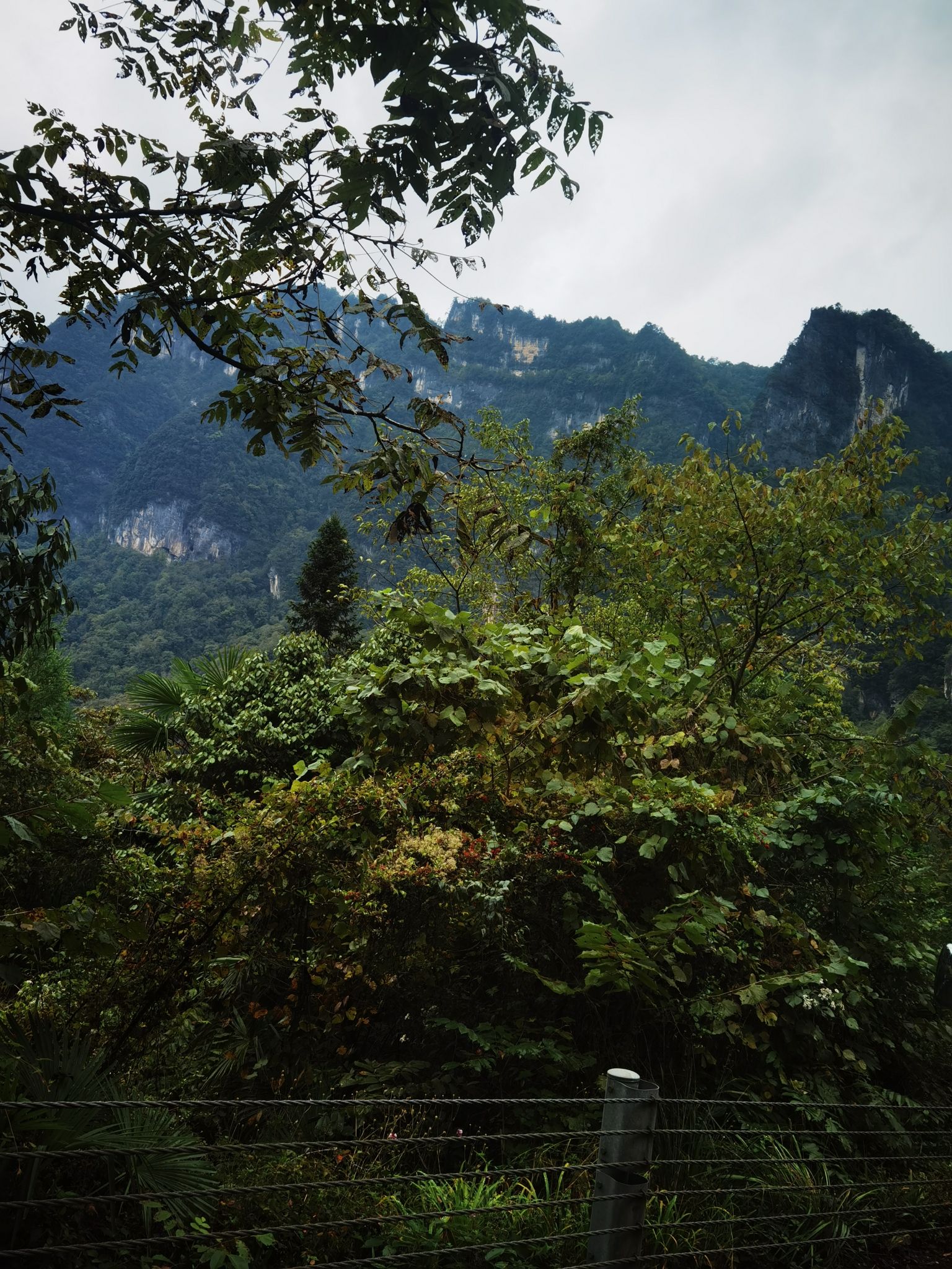 光雾山旅游景区-三道关景点