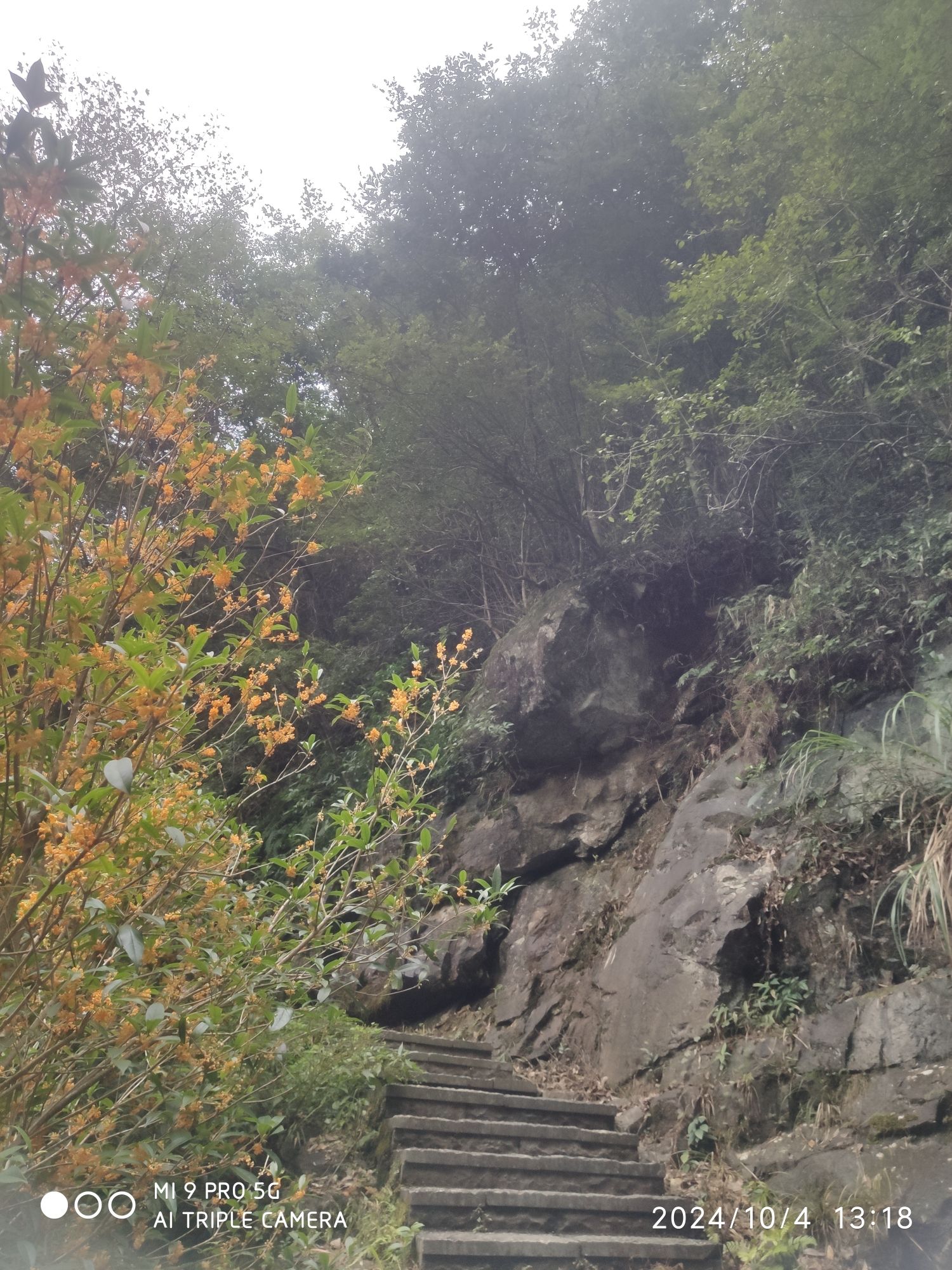 金华市磐安县百杖潭景区旅行图片 2