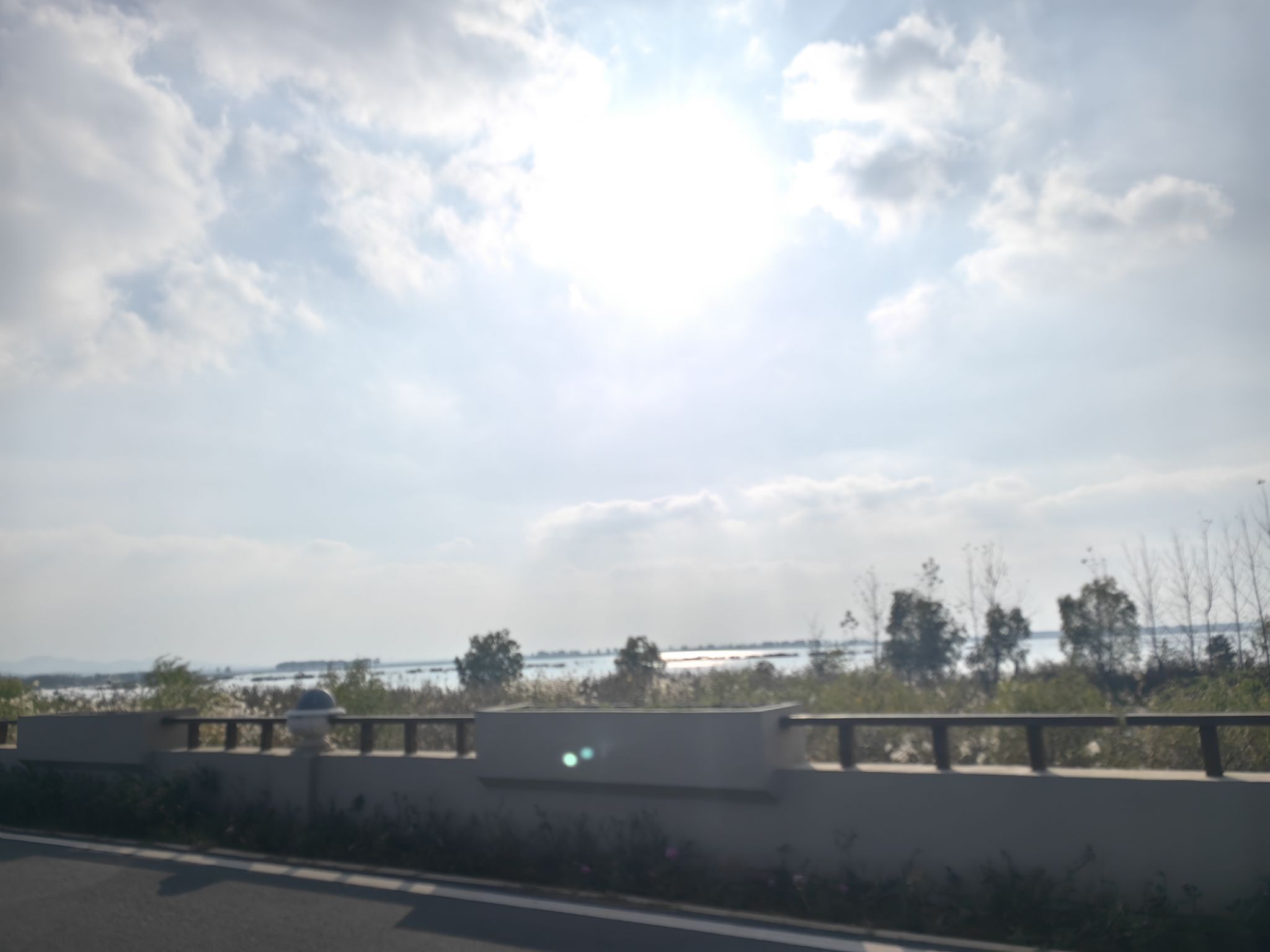黄陂湖湿地旅行图片 2