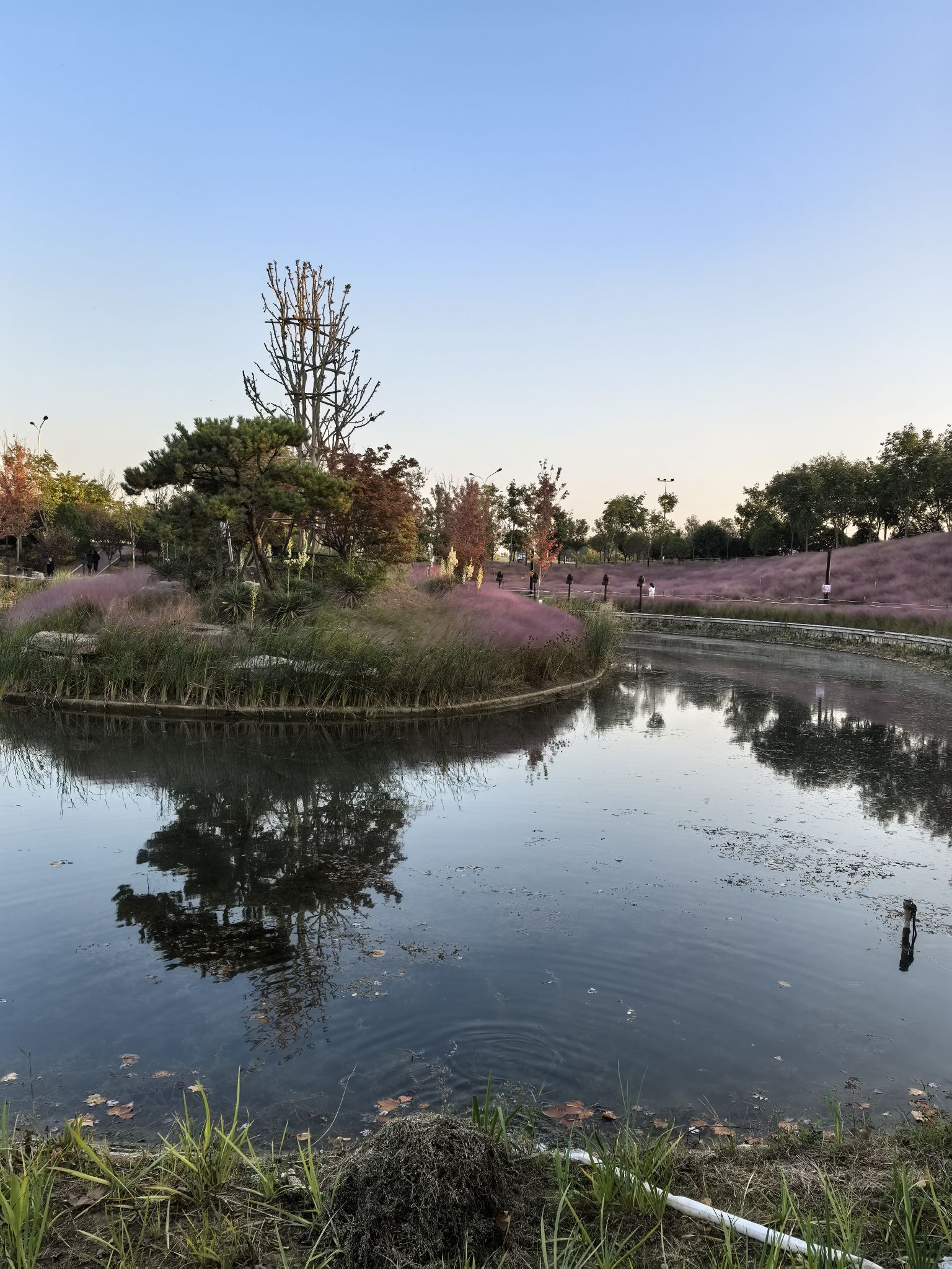 㶏溪湿地公园旅行图片 1