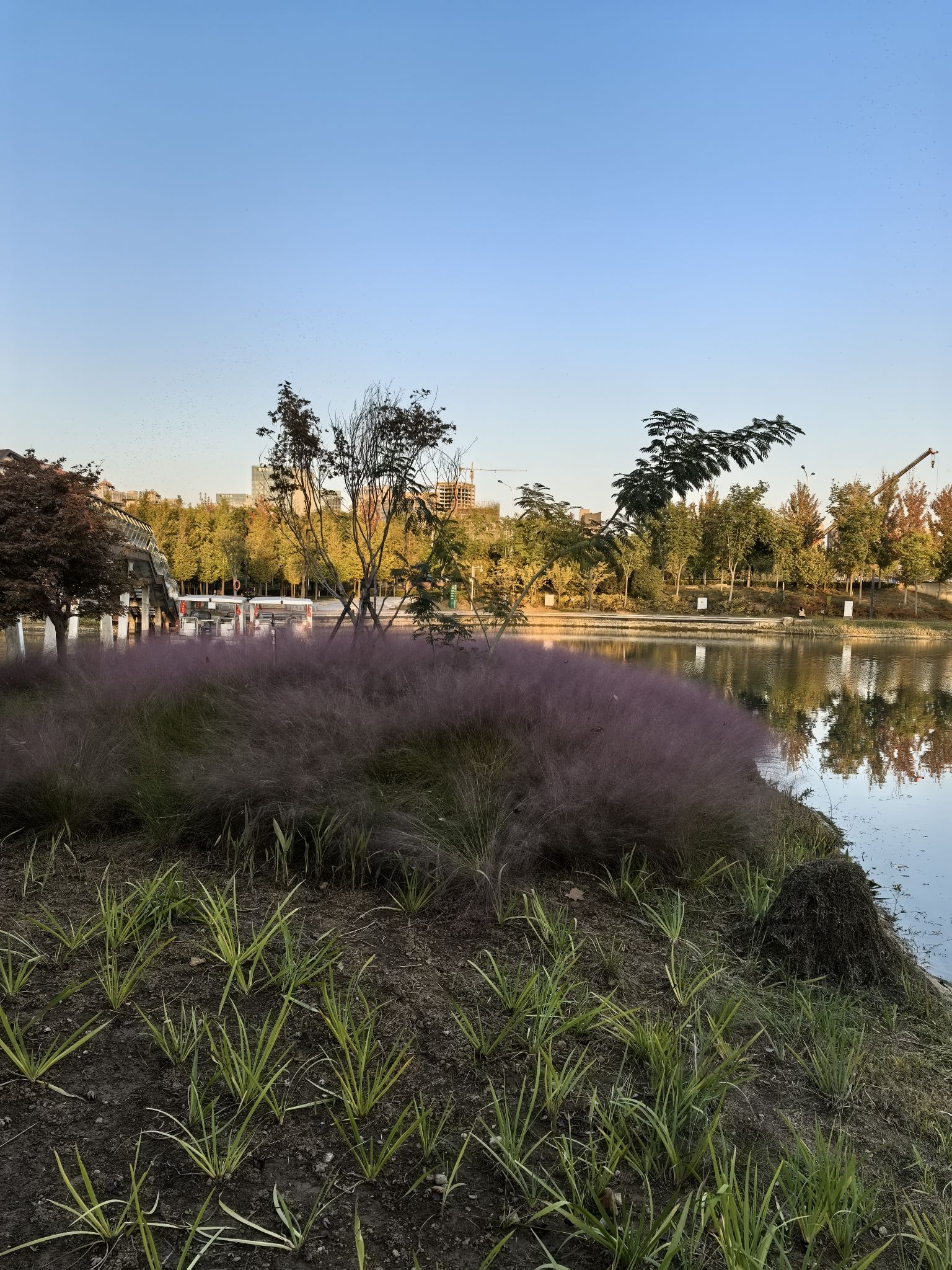㶏溪湿地公园旅行图片 2