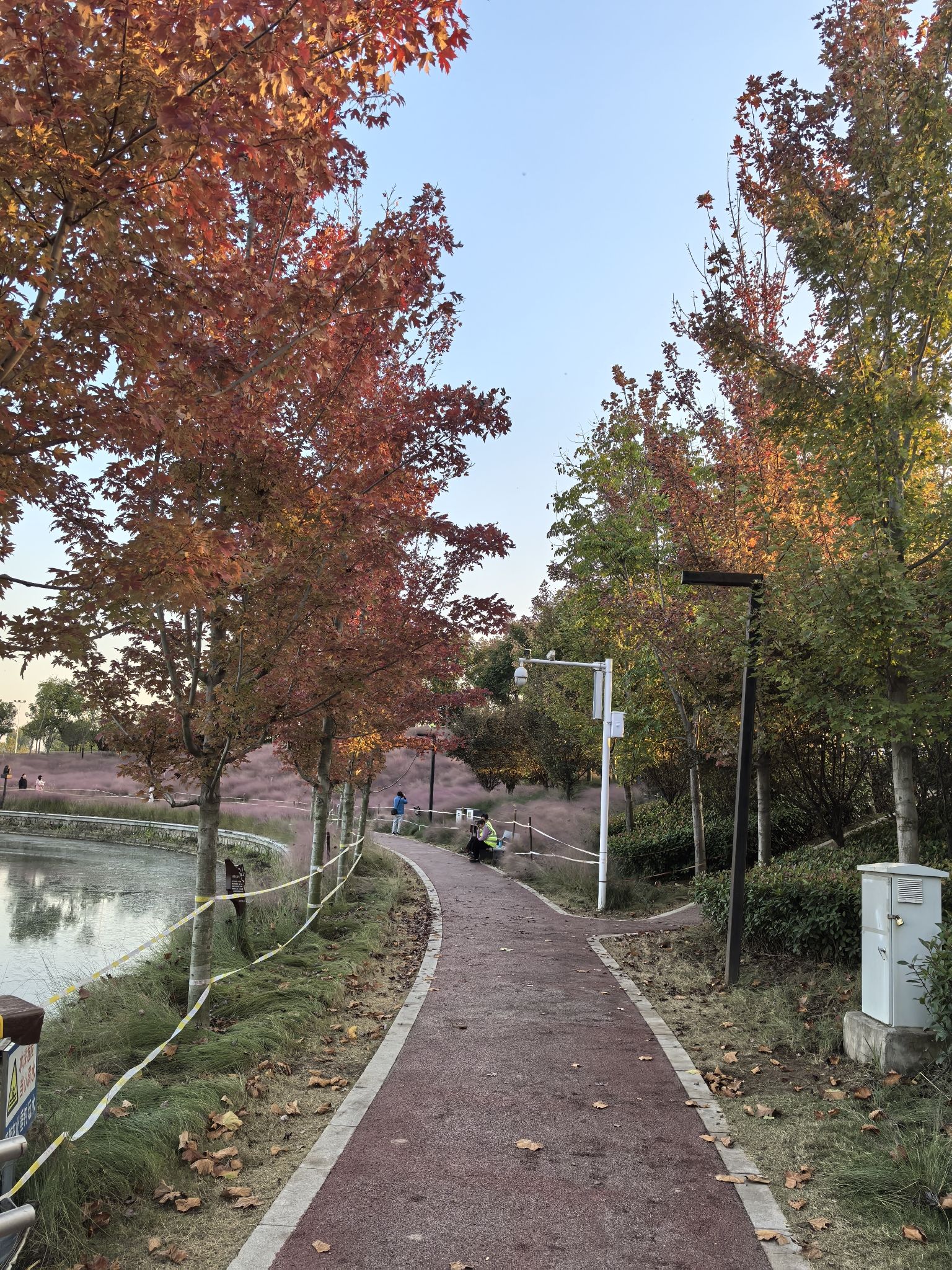 㶏溪湿地公园旅行图片 3