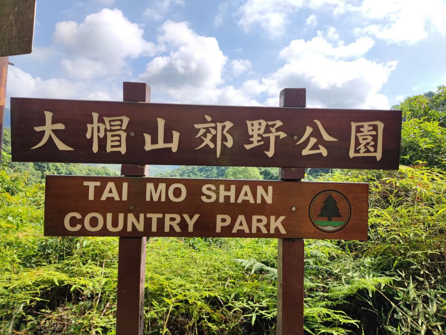 大帽山郊野公园
