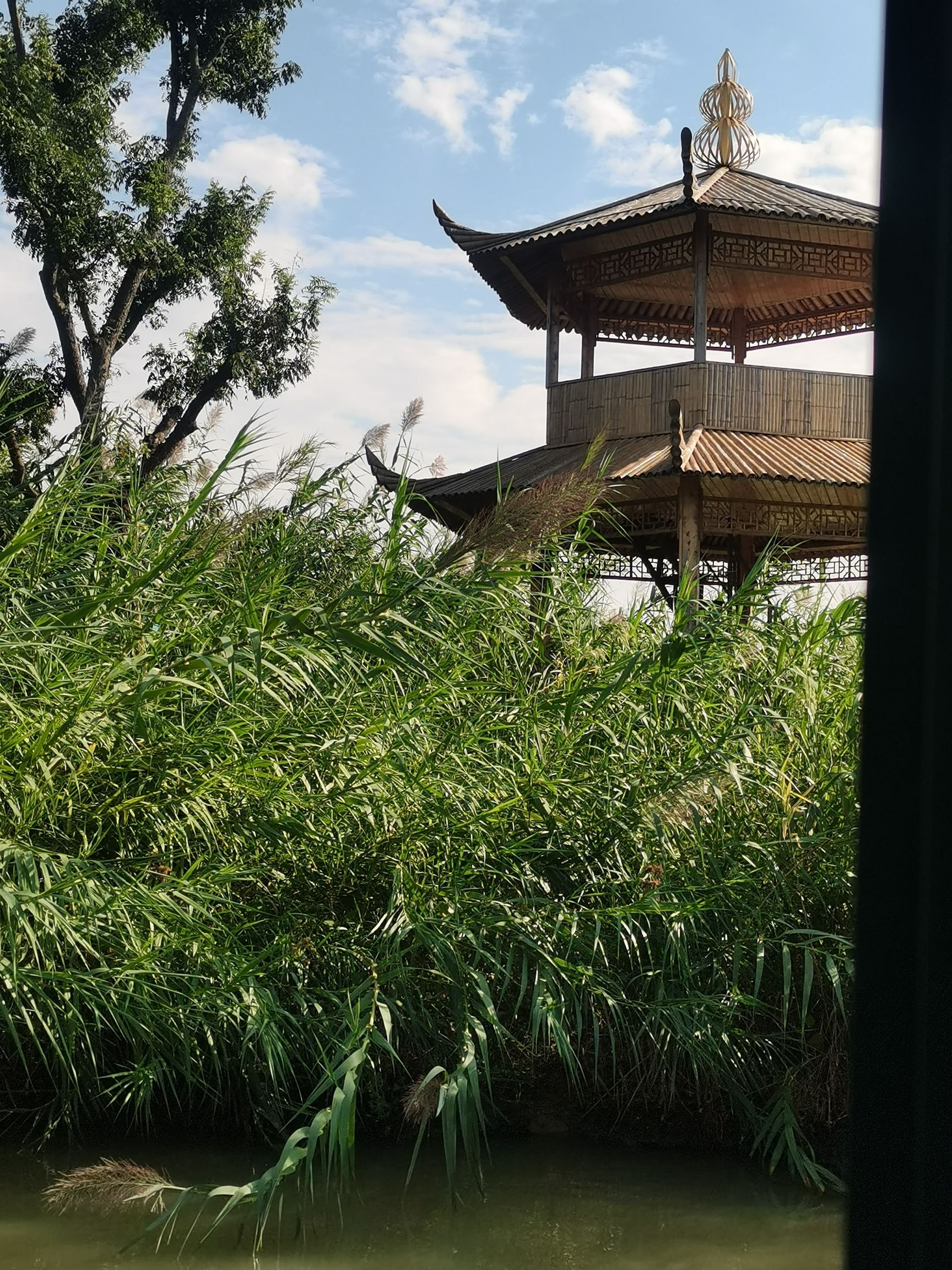 洪泽湖湿地景区-芦苇迷宫
