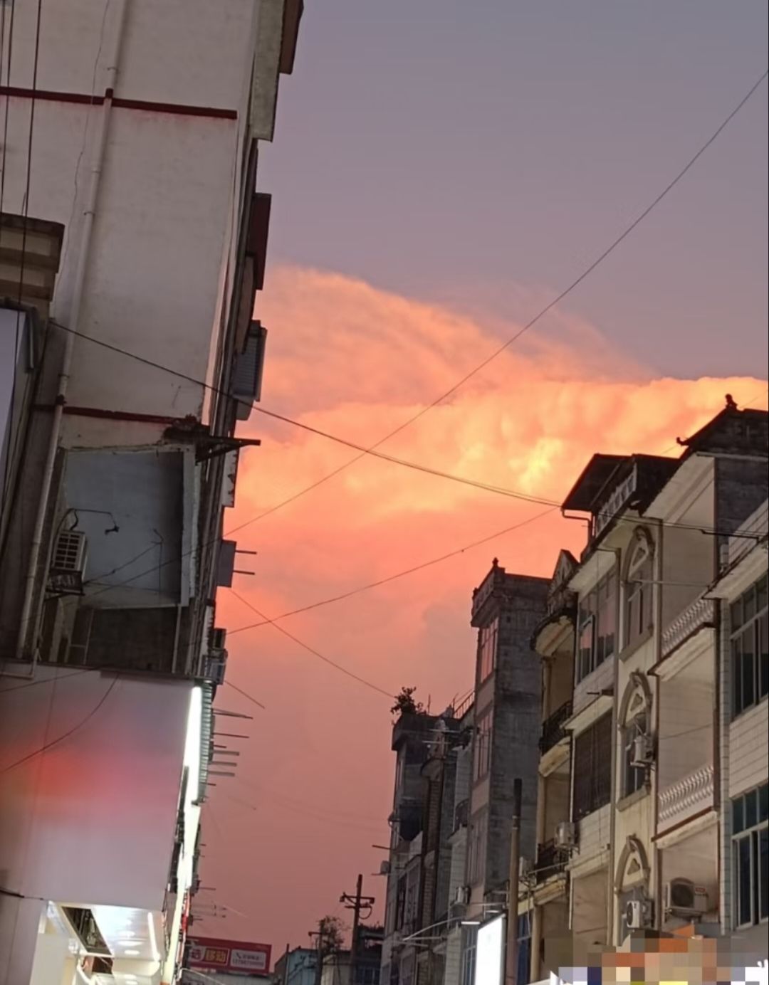 得月楼公园旅行图片 3