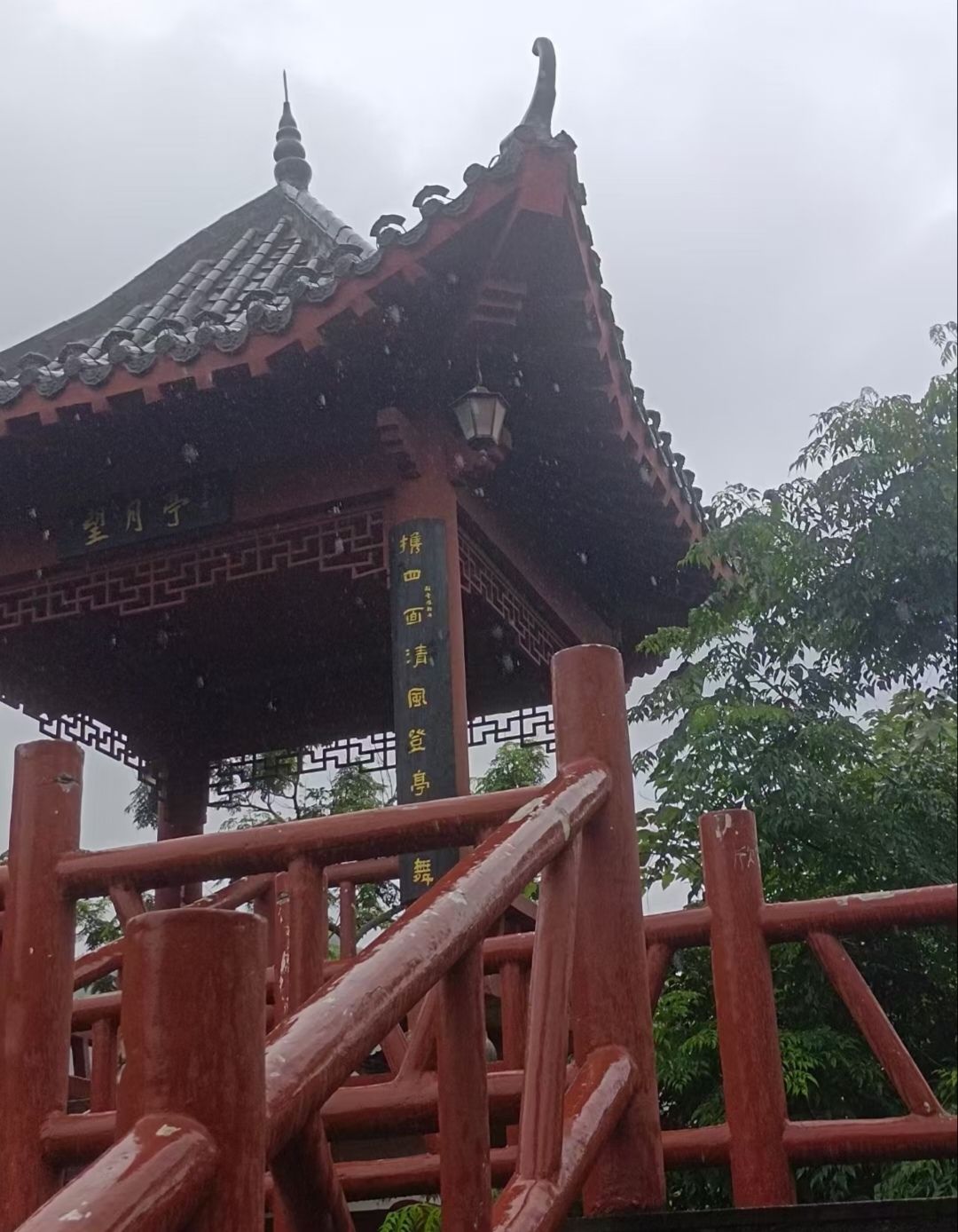 得月楼公园旅行图片 2