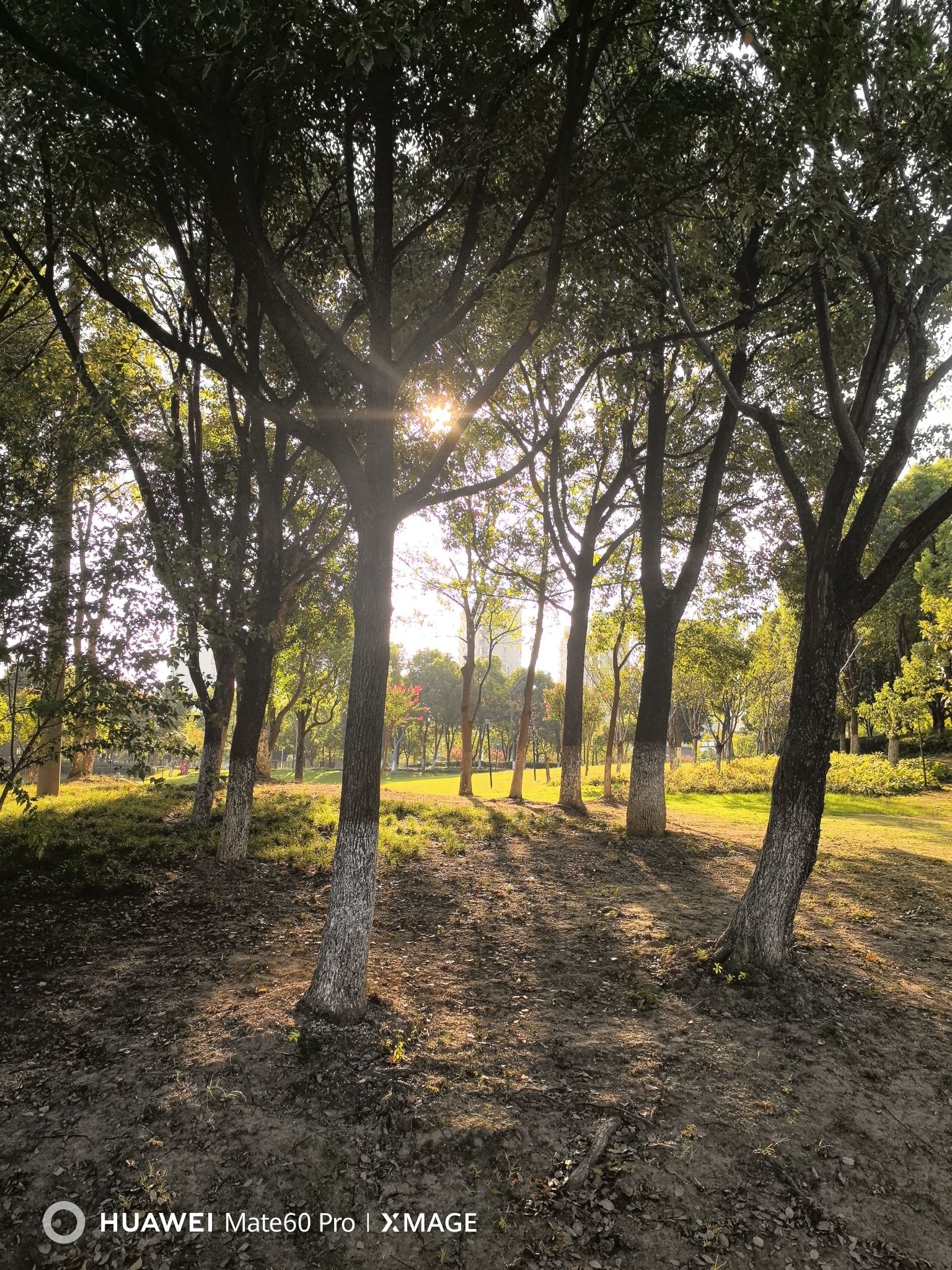 二乔公园旅行图片 3