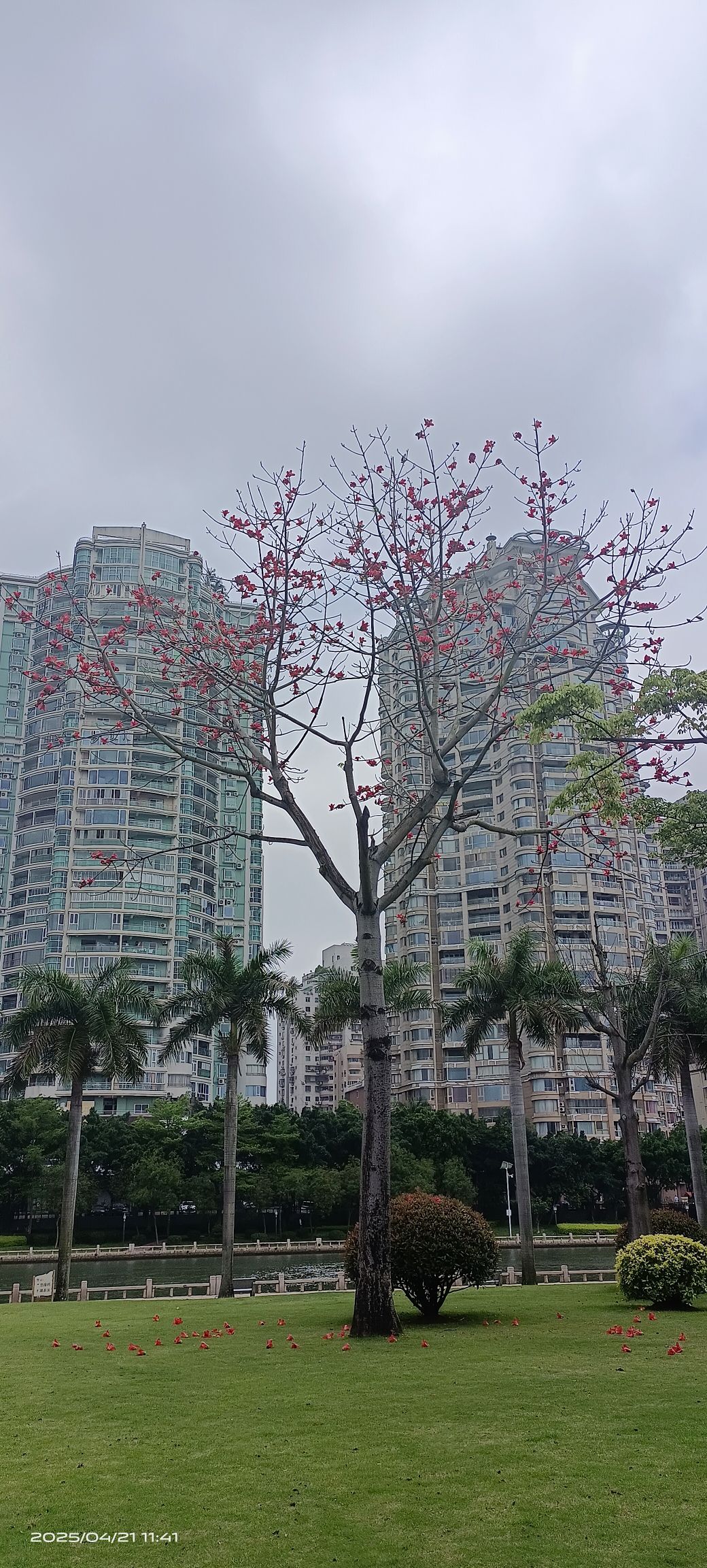 厦门白鹭洲公园西公园