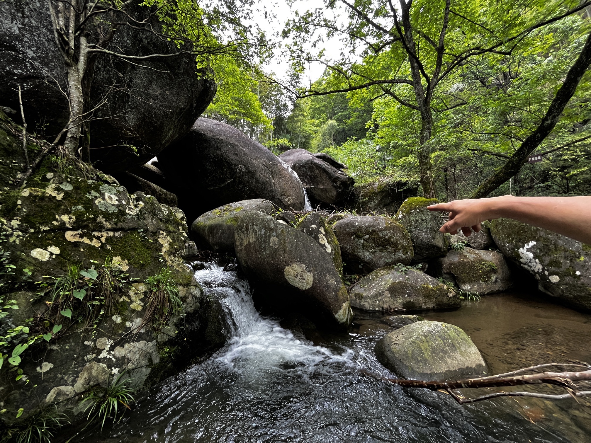 西溪磐石大峡谷旅行图片 1