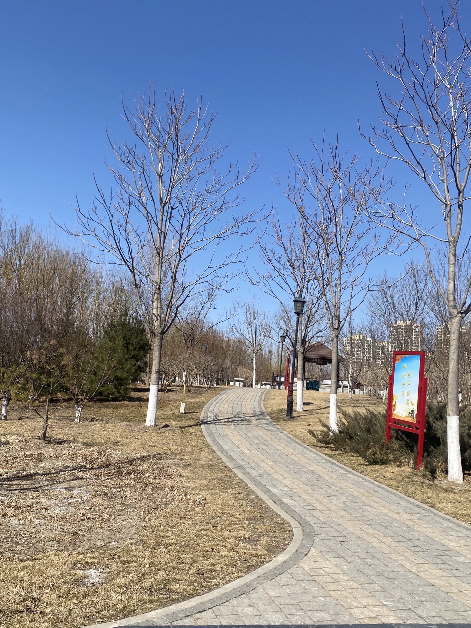 津南体育公园旅行图片 3