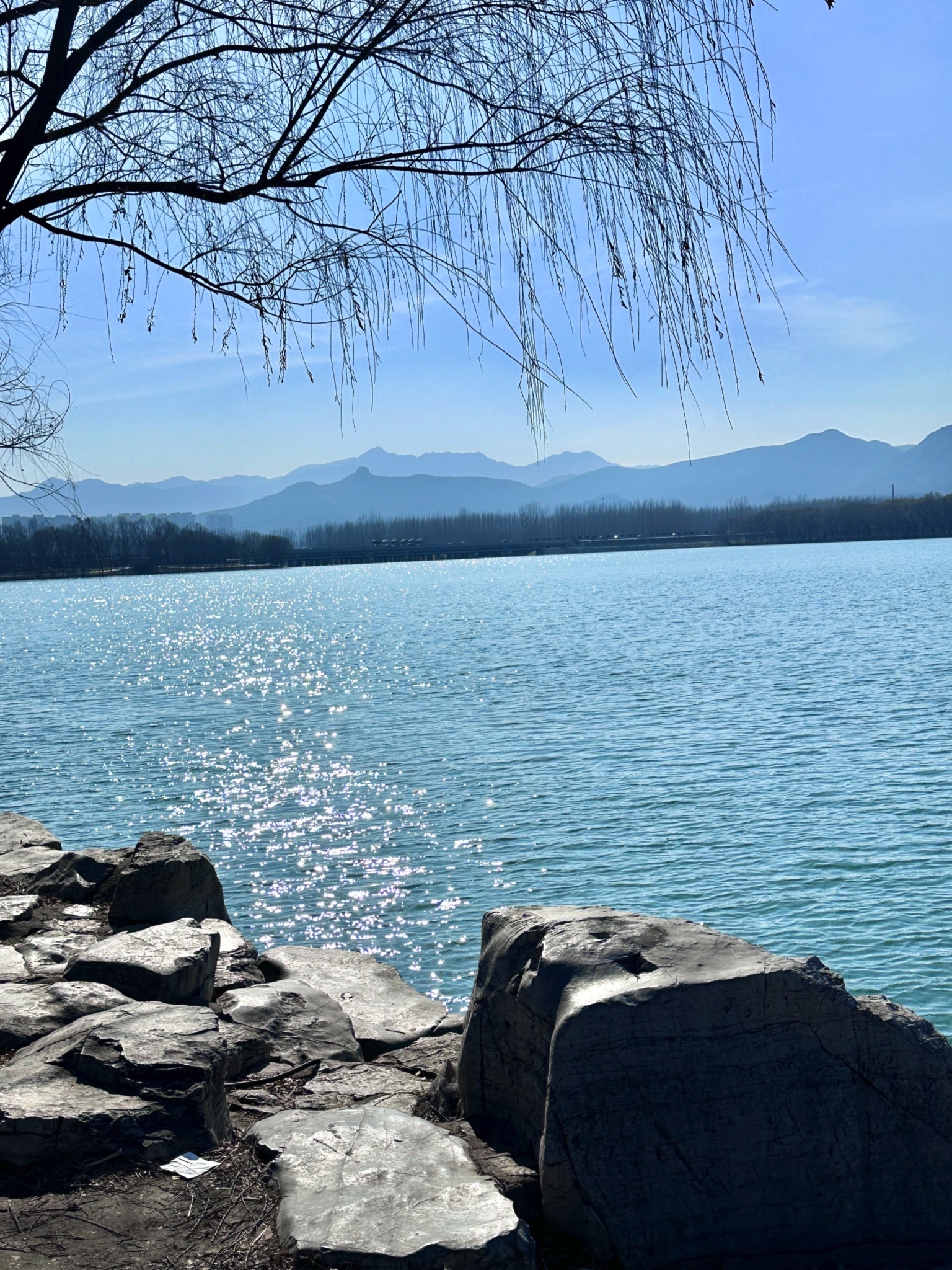 黛溪湖公园旅行图片 1