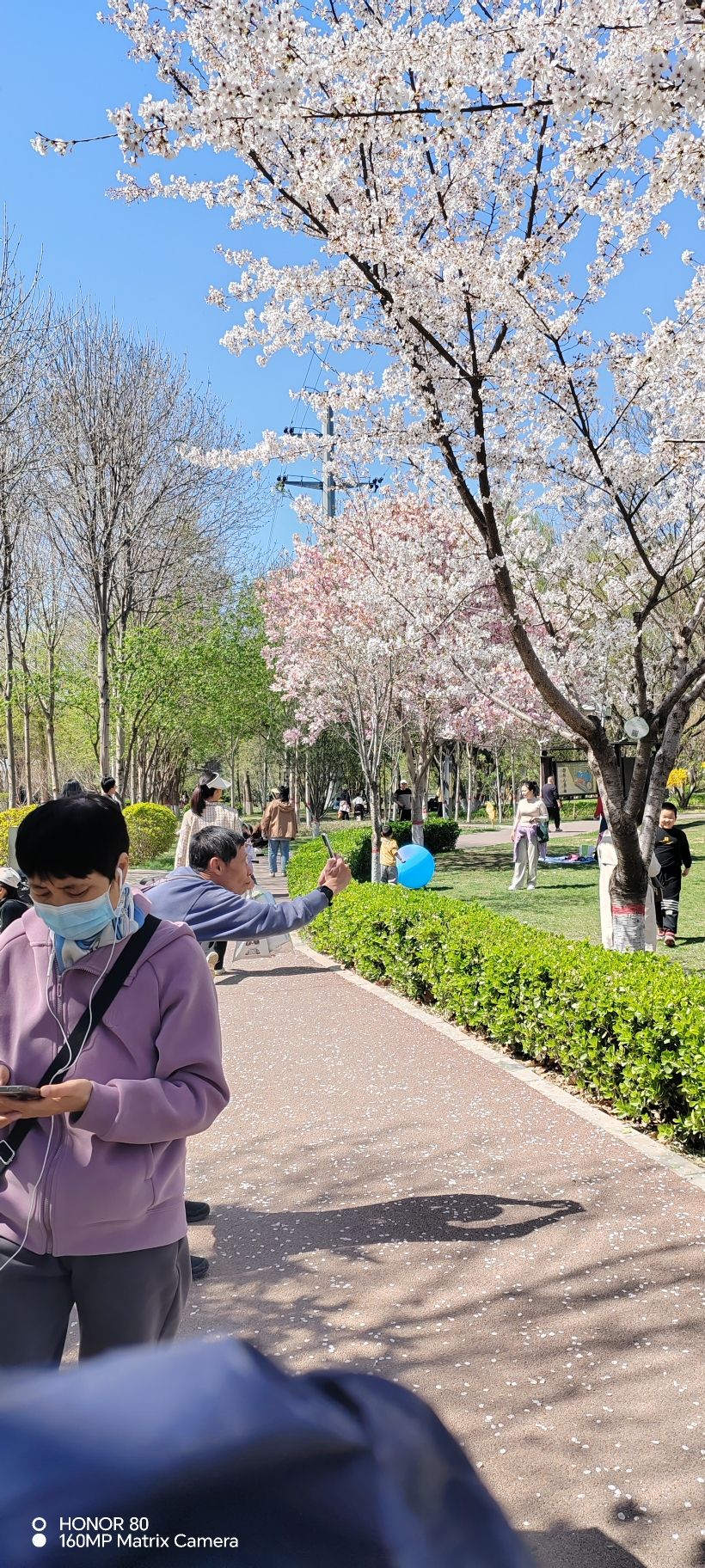 石津灌渠文化公园旅行图片 2