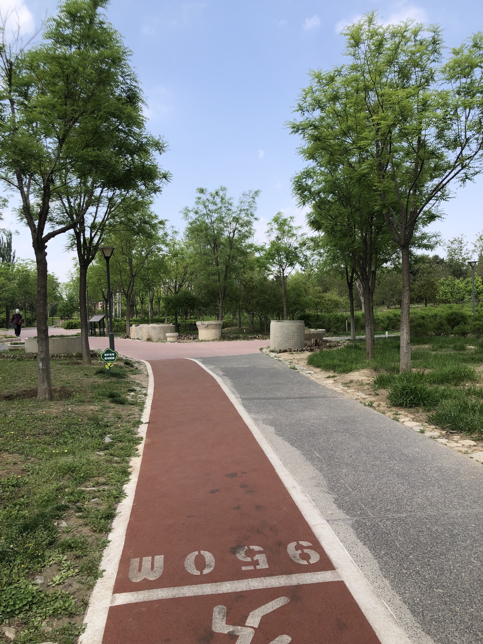 树村公园旅行图片 3
