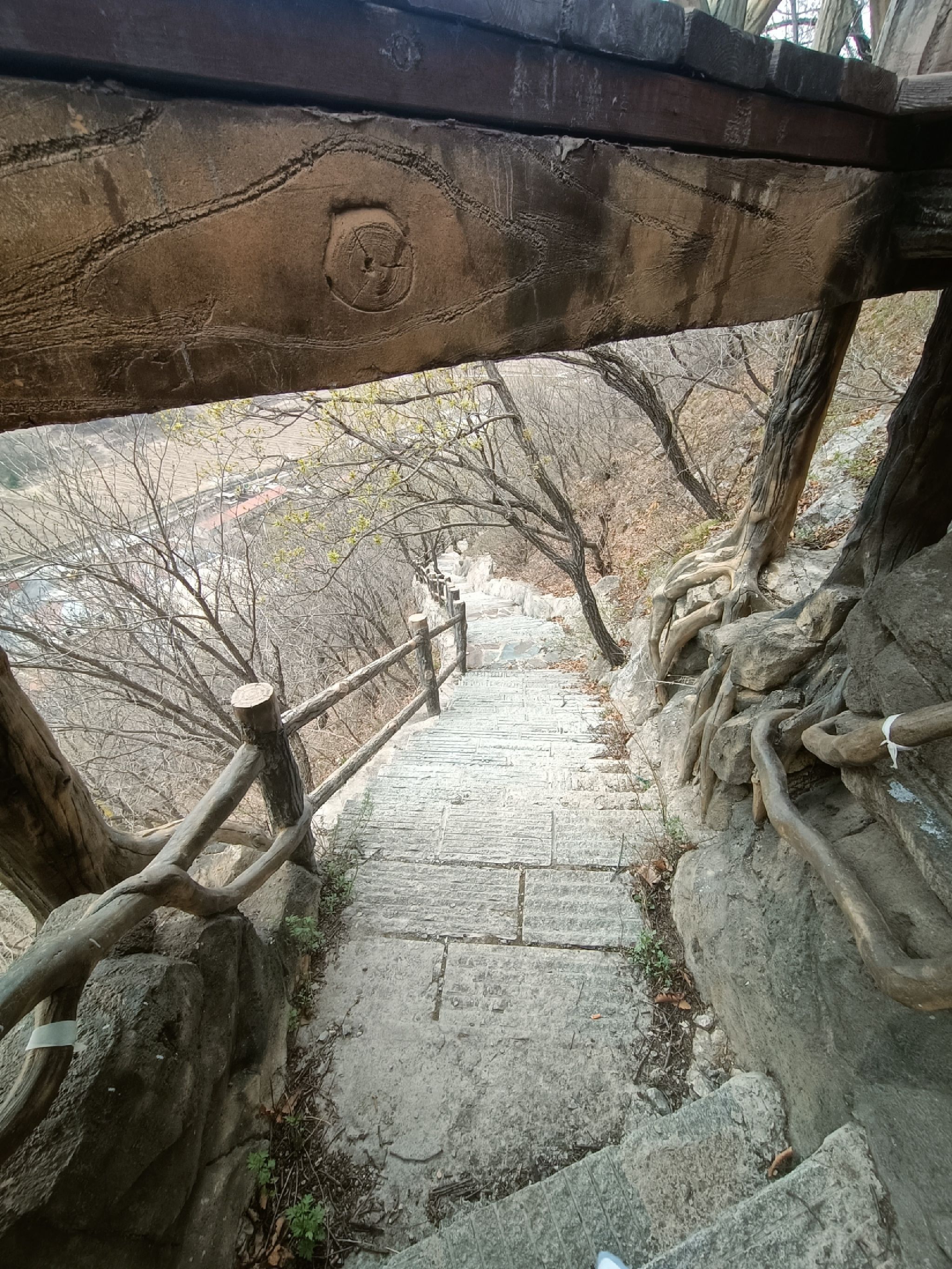 庙后山遗址旅行图片 2
