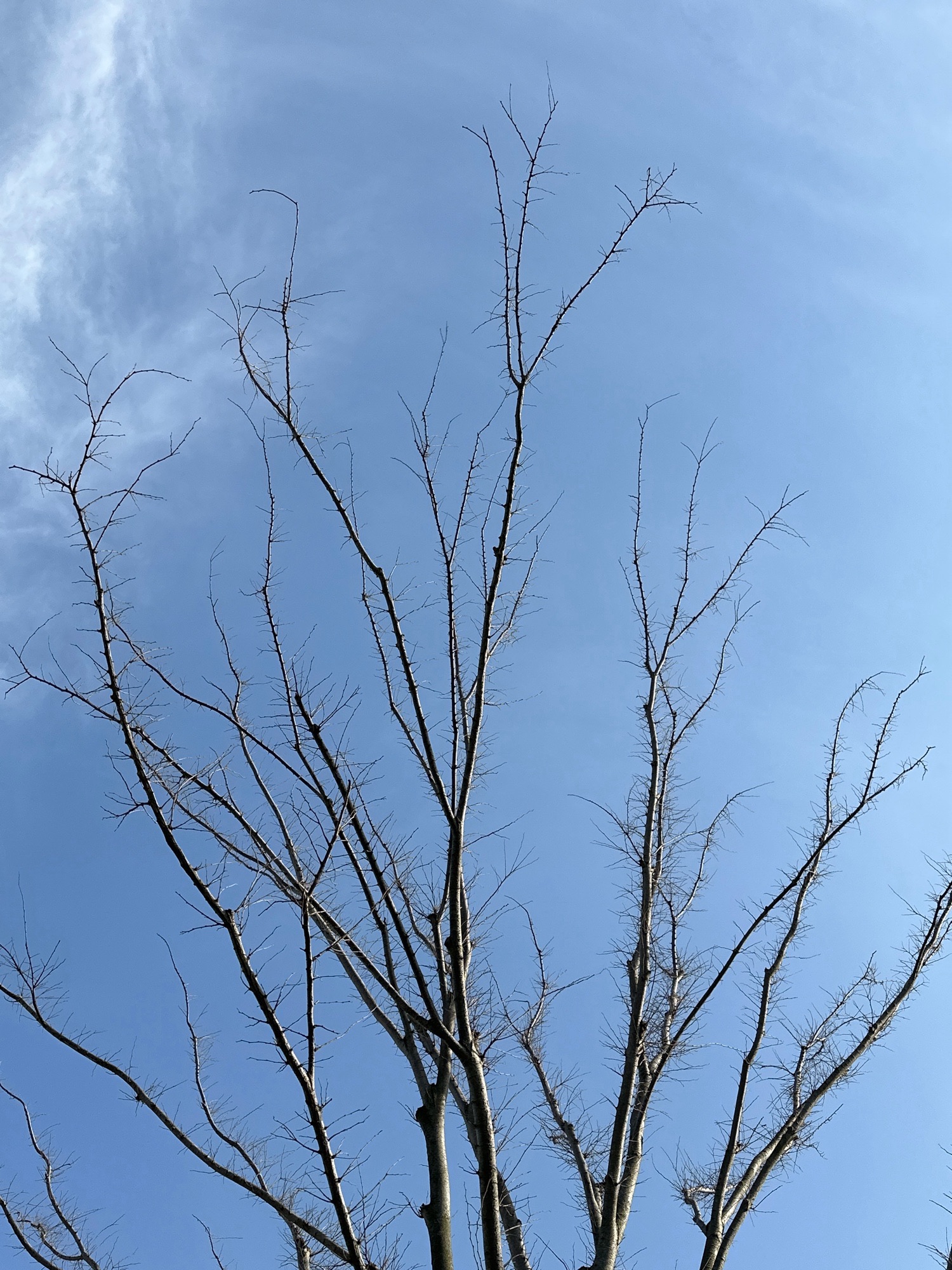 东海郊野公园旅行图片 3