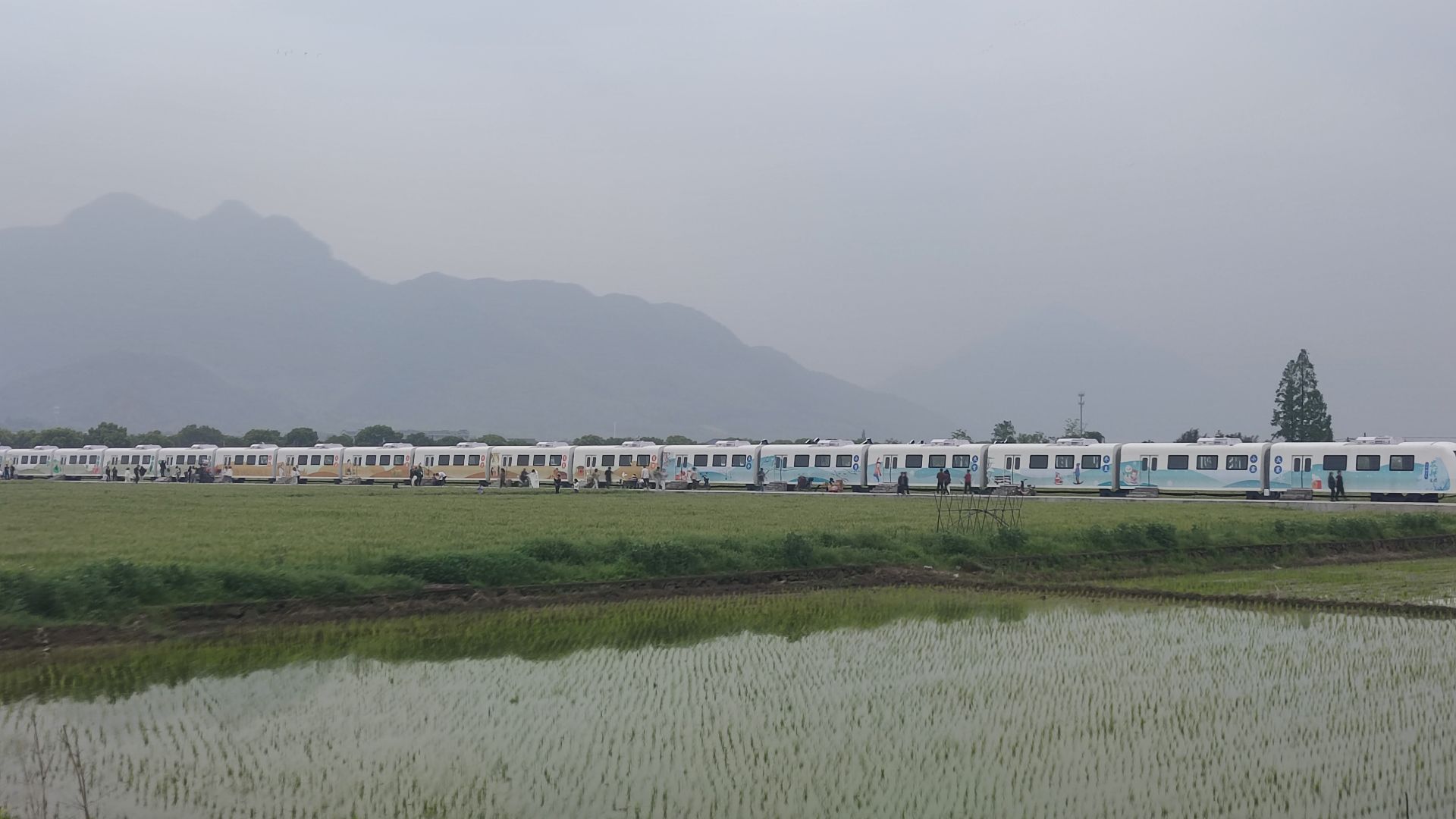 麦田火车旅行图片 1
