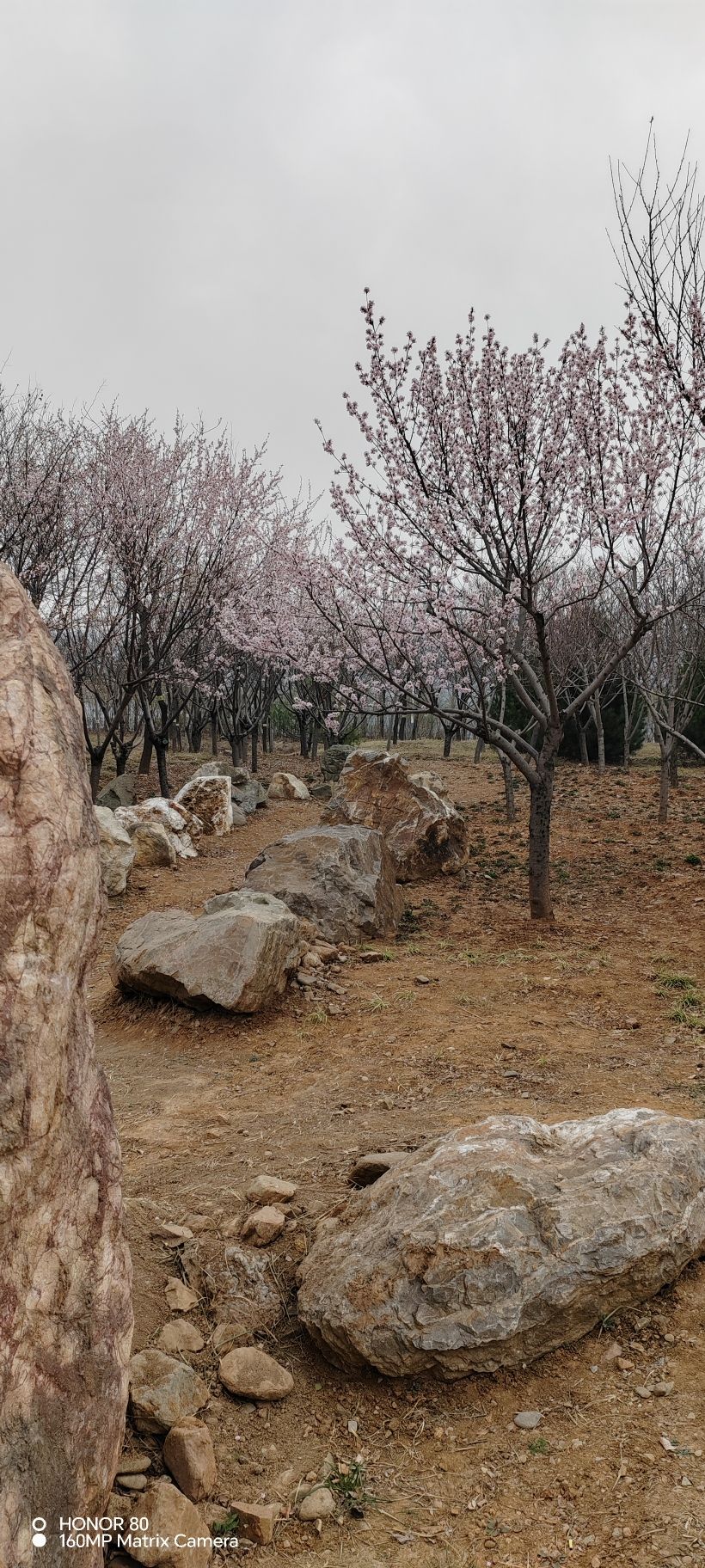 石津灌渠文化公园旅行图片 3