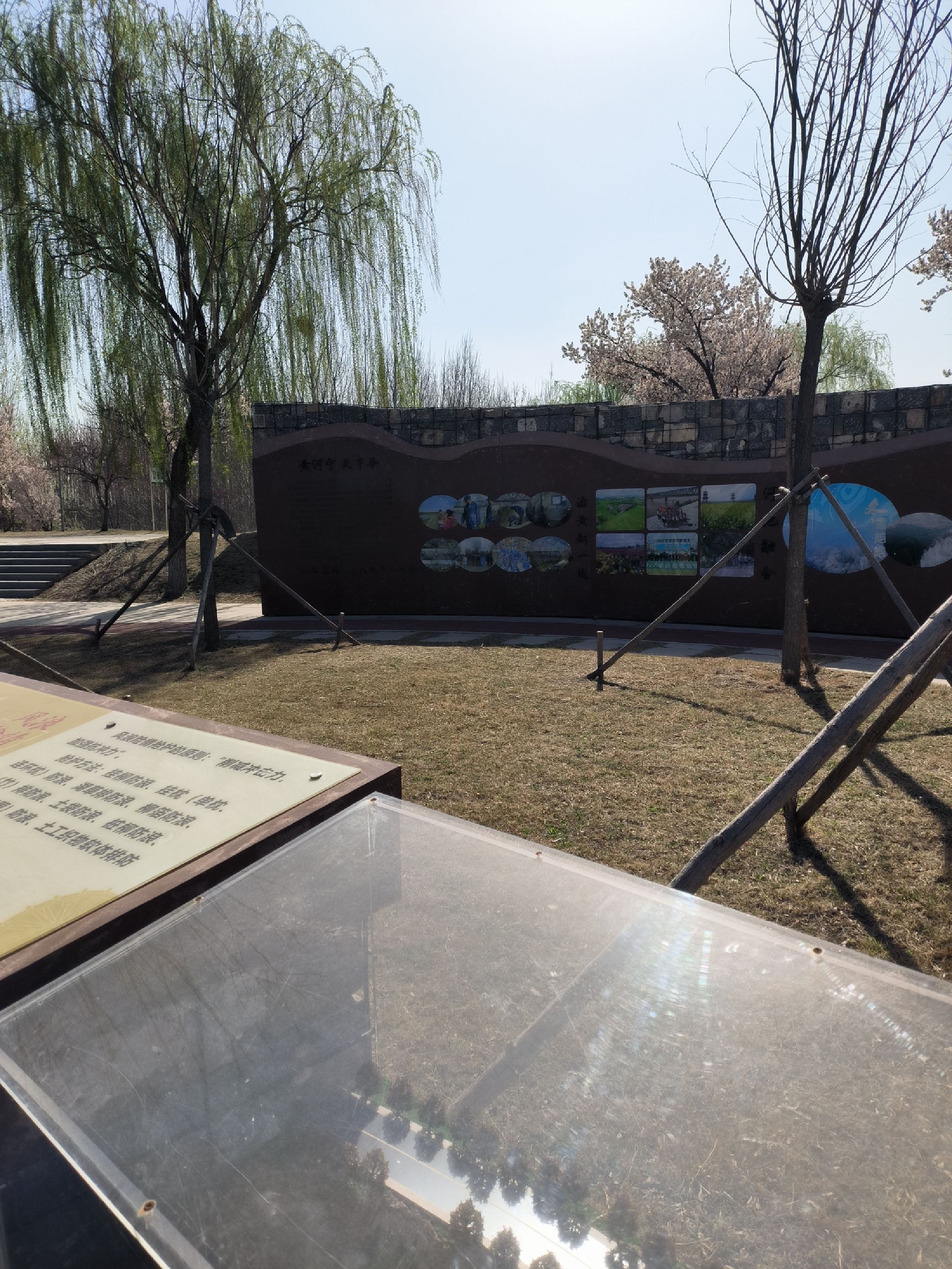 曹家圈防汛文化广场旅行图片 2