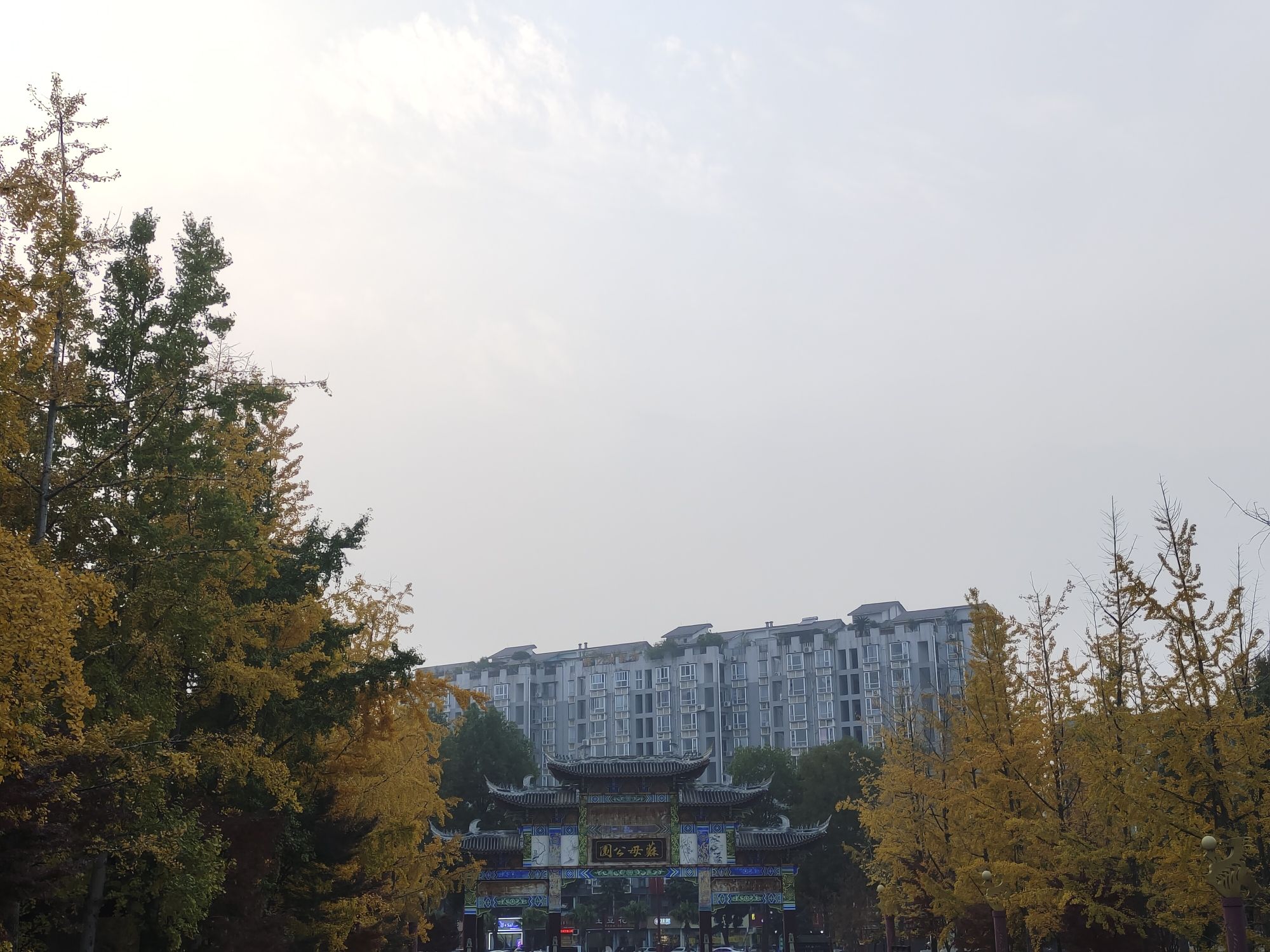 苏母公园旅行图片 3