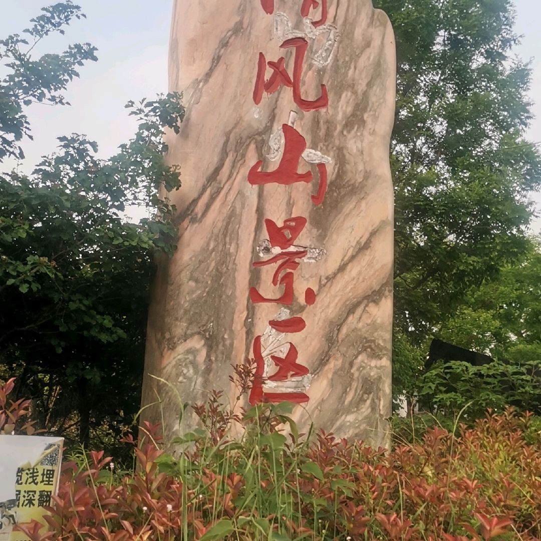义马市清风山网红草粉黛草旅行图片 3