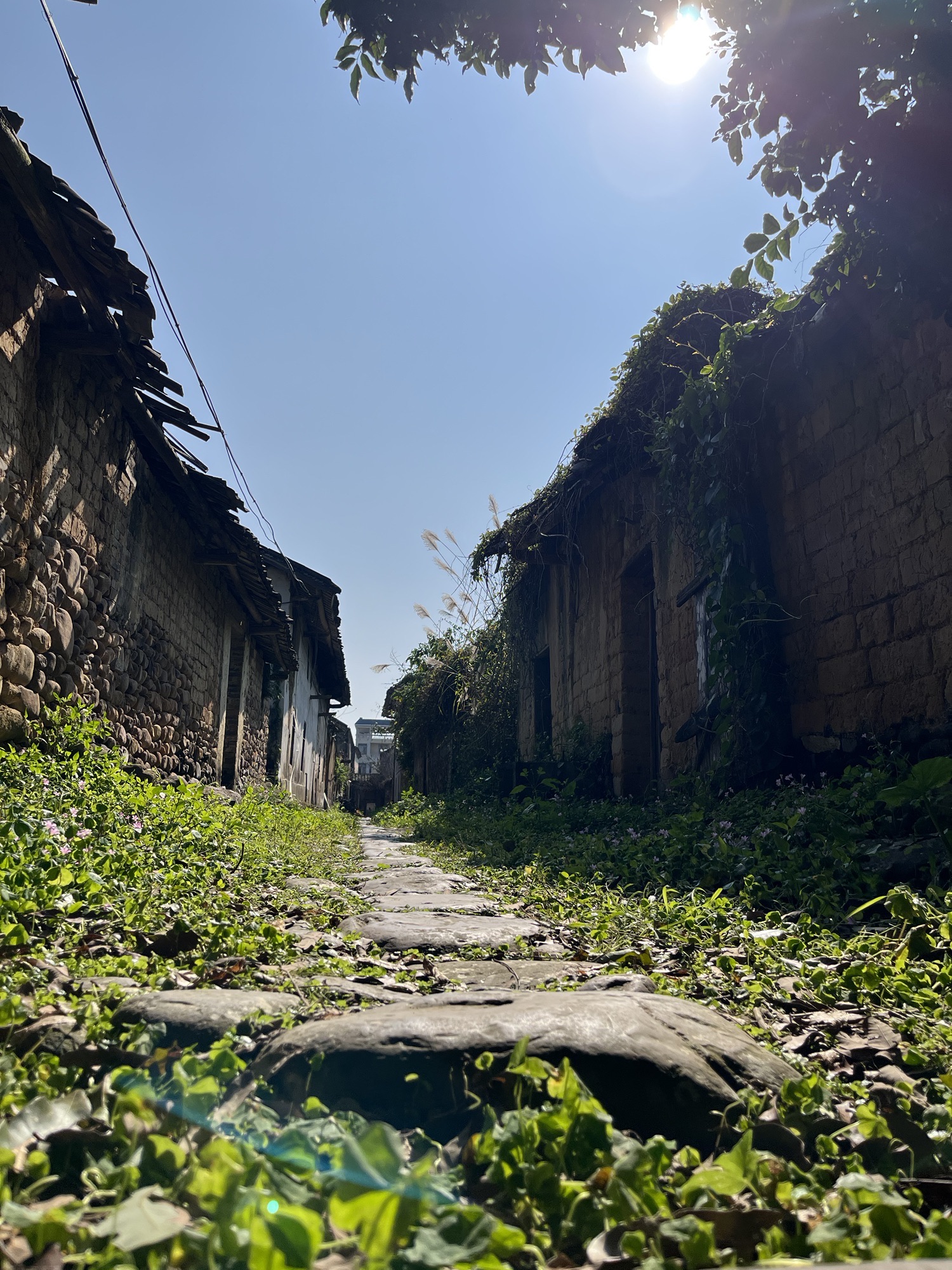 将军第旅行图片 3