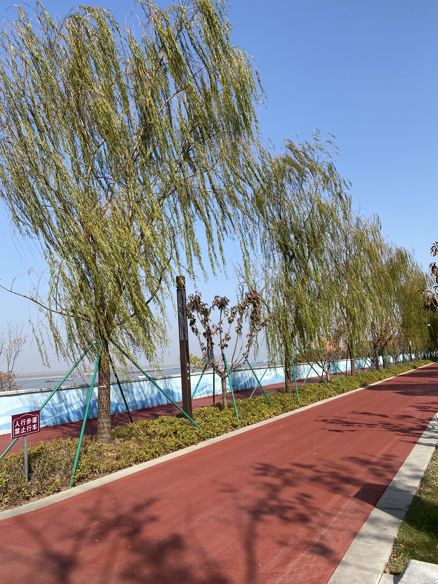 浔阳江文化旅游景区旅行图片 2
