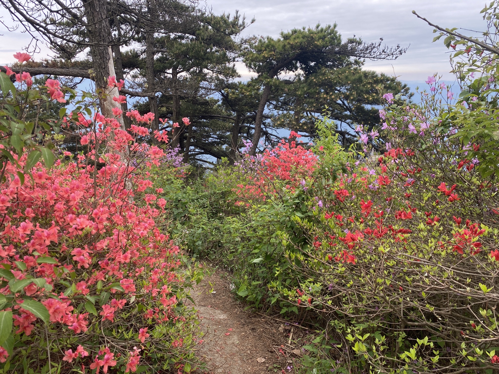 司空山风景名胜区旅行图片 3