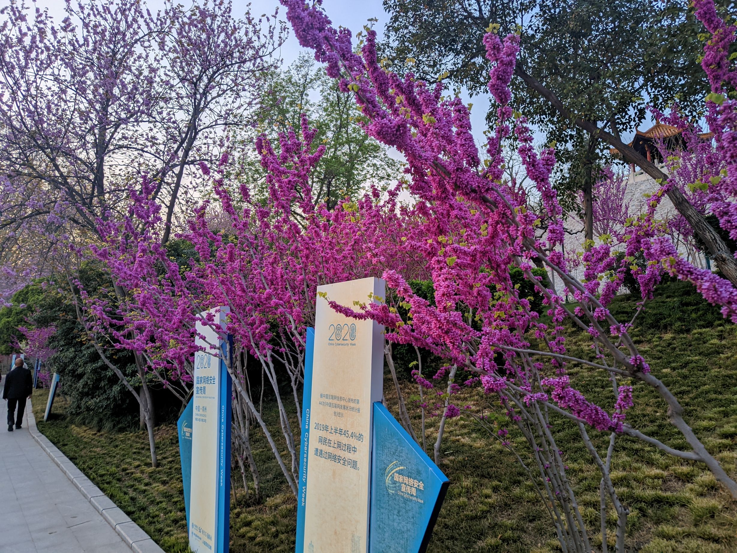 郑州市紫荆山公园-西园