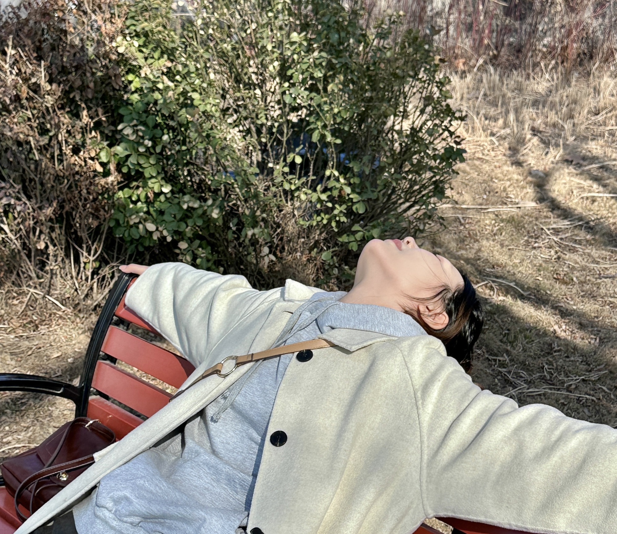 黛溪湖公园旅行图片 2
