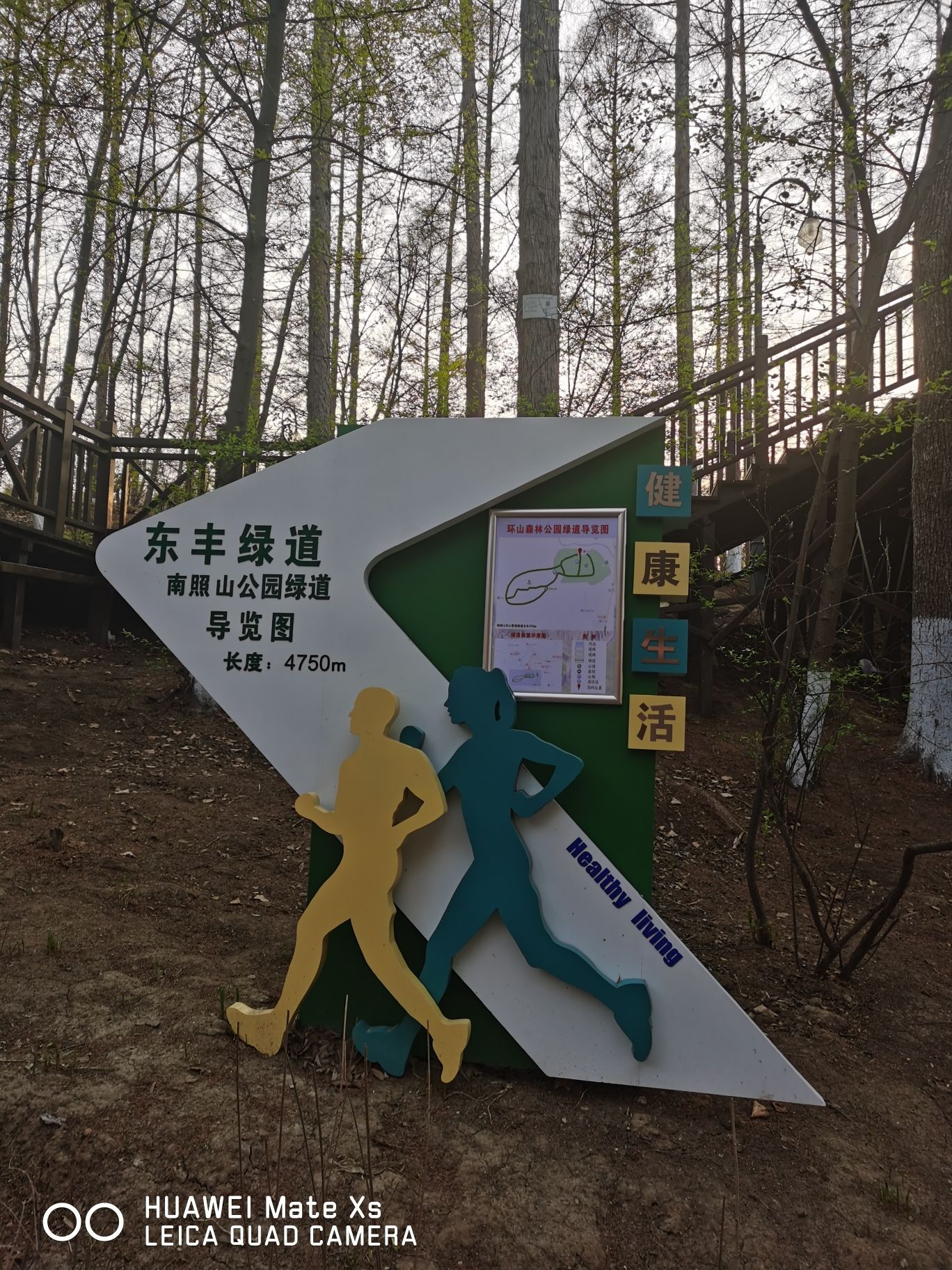 南照山公园旅行图片 2