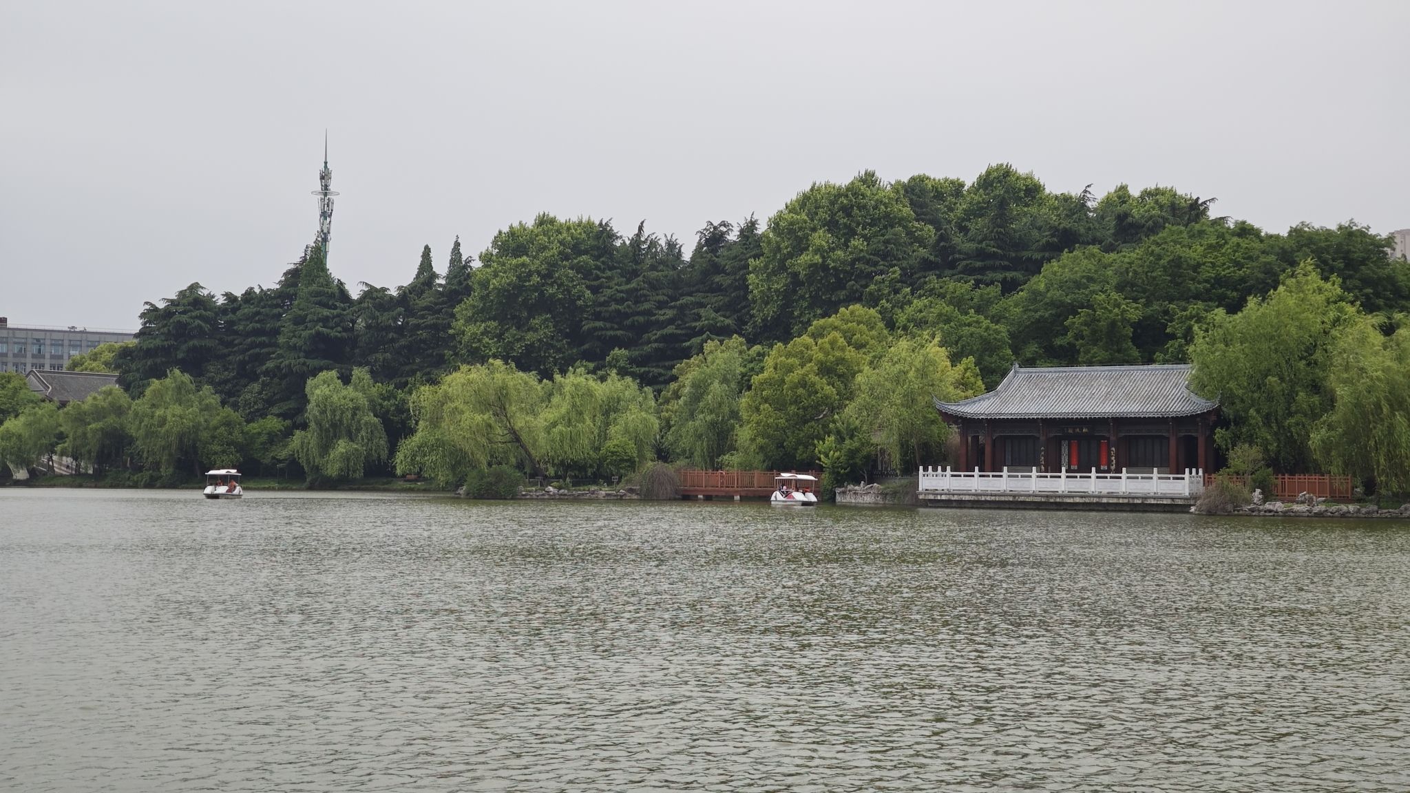 扬子公园旅行图片 1