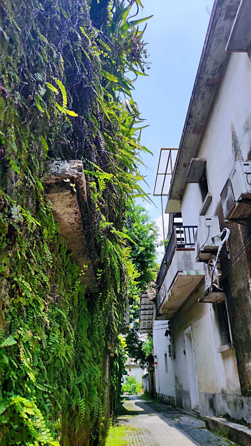 花山小镇旅行图片 2